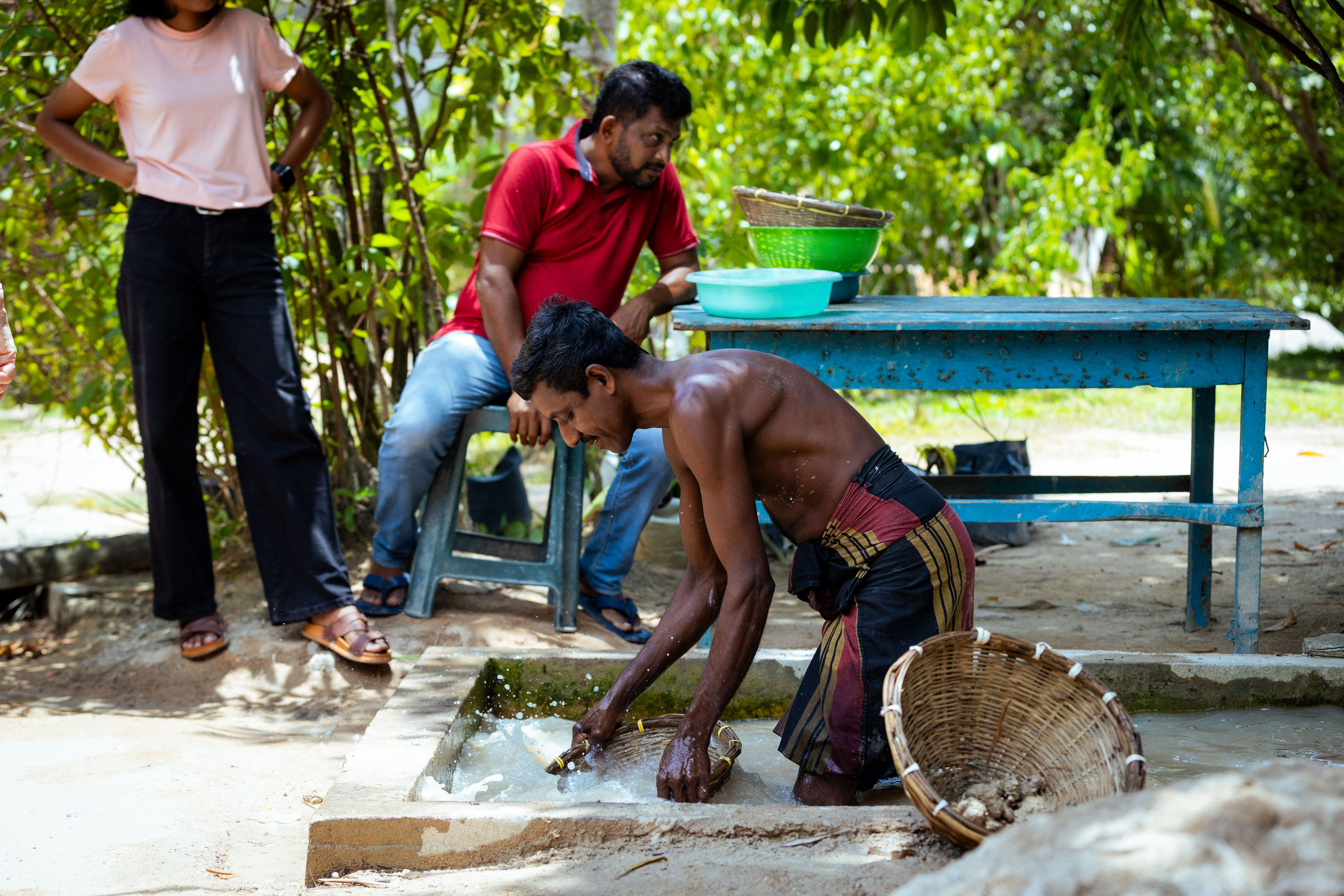 Шри-Ланка (весна 2024). Фотограф Виноградов Константин