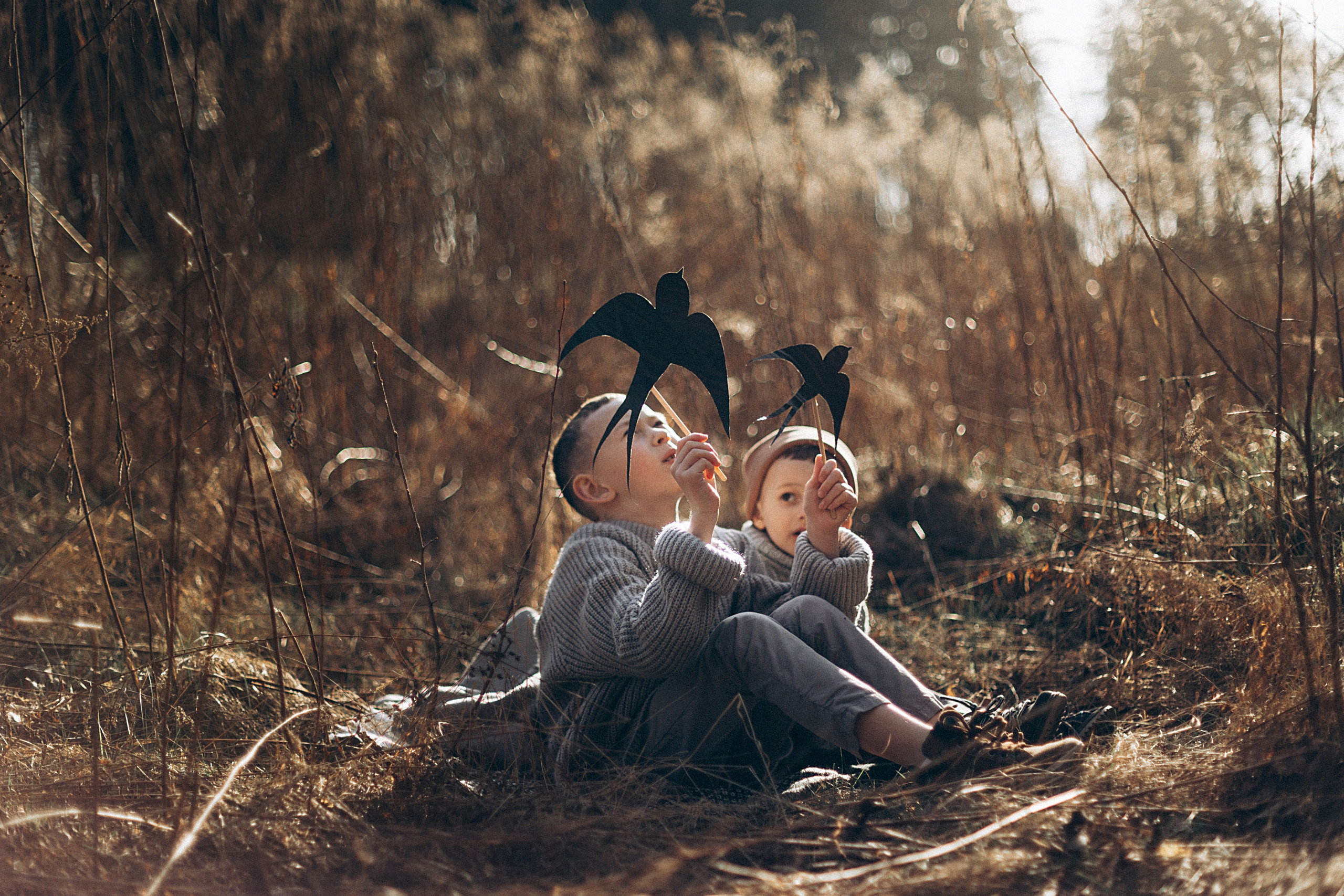 Птицы-самолеты. Репортажный и детский фотограф в Минске