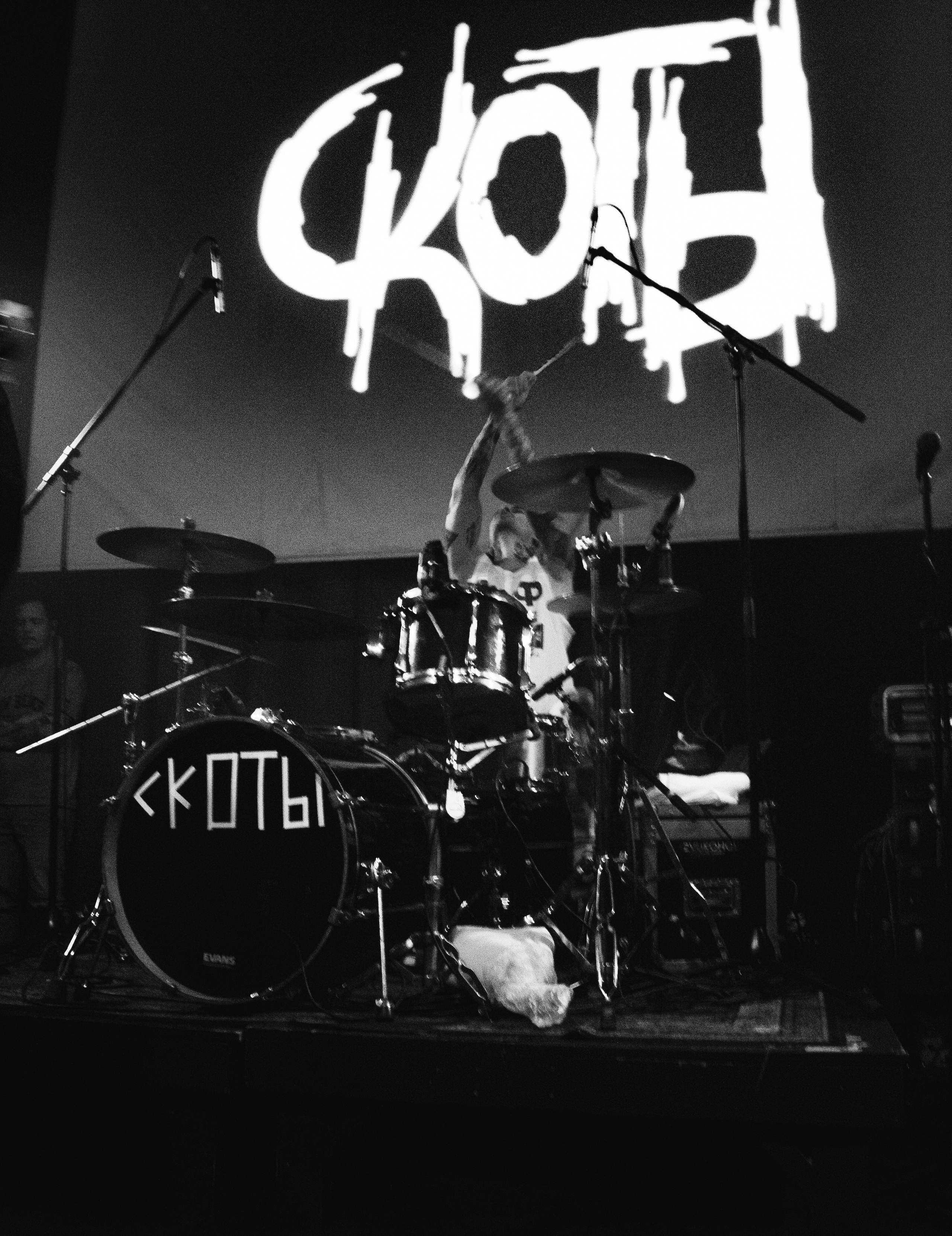 СКОТЫ | 11.12.2024 | ЛАСТОЧКА. VLADIS PISKUNOV | Концертные Фото |Репортажи