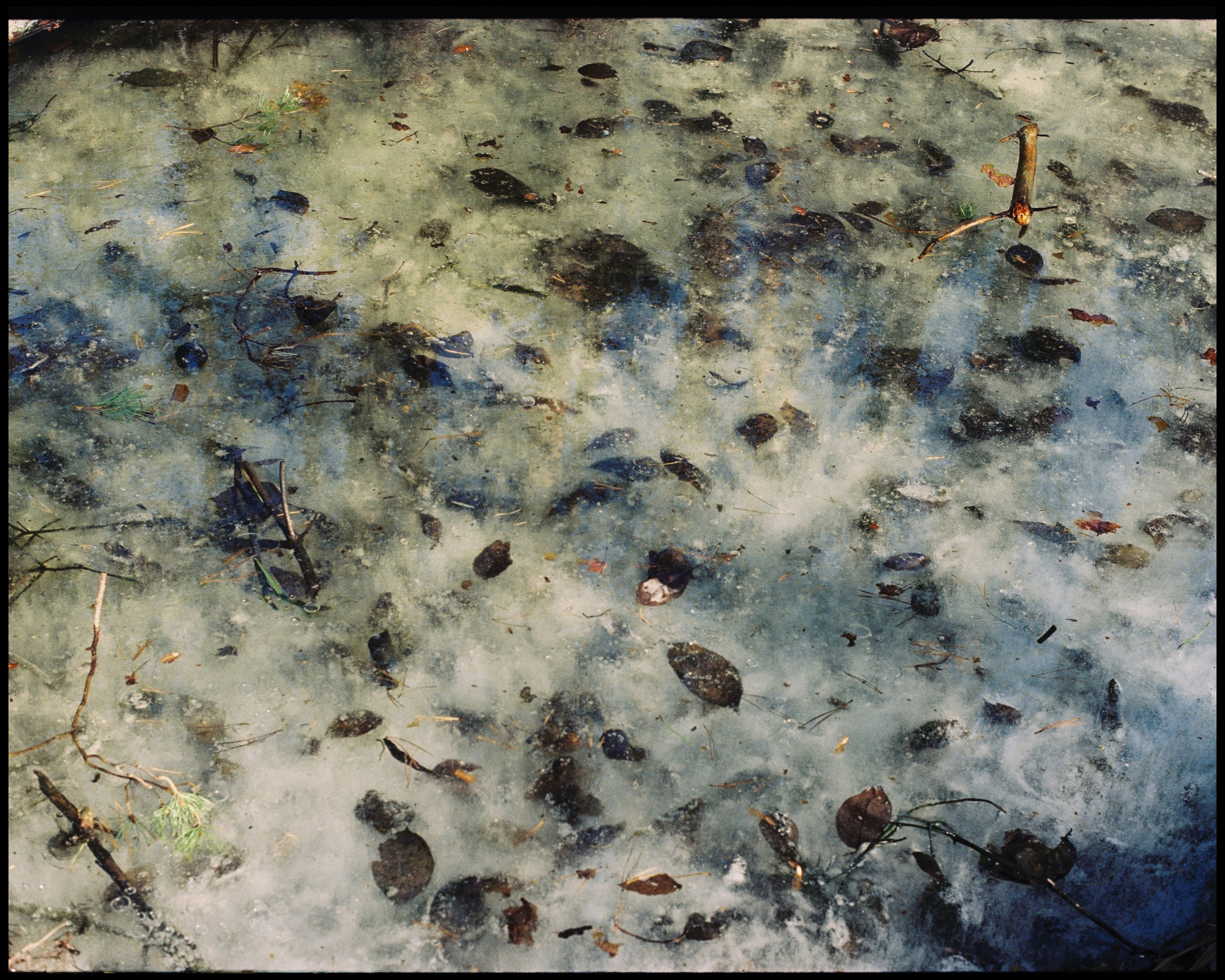 KALUGA. ANNA — PHOTOGRAPHER