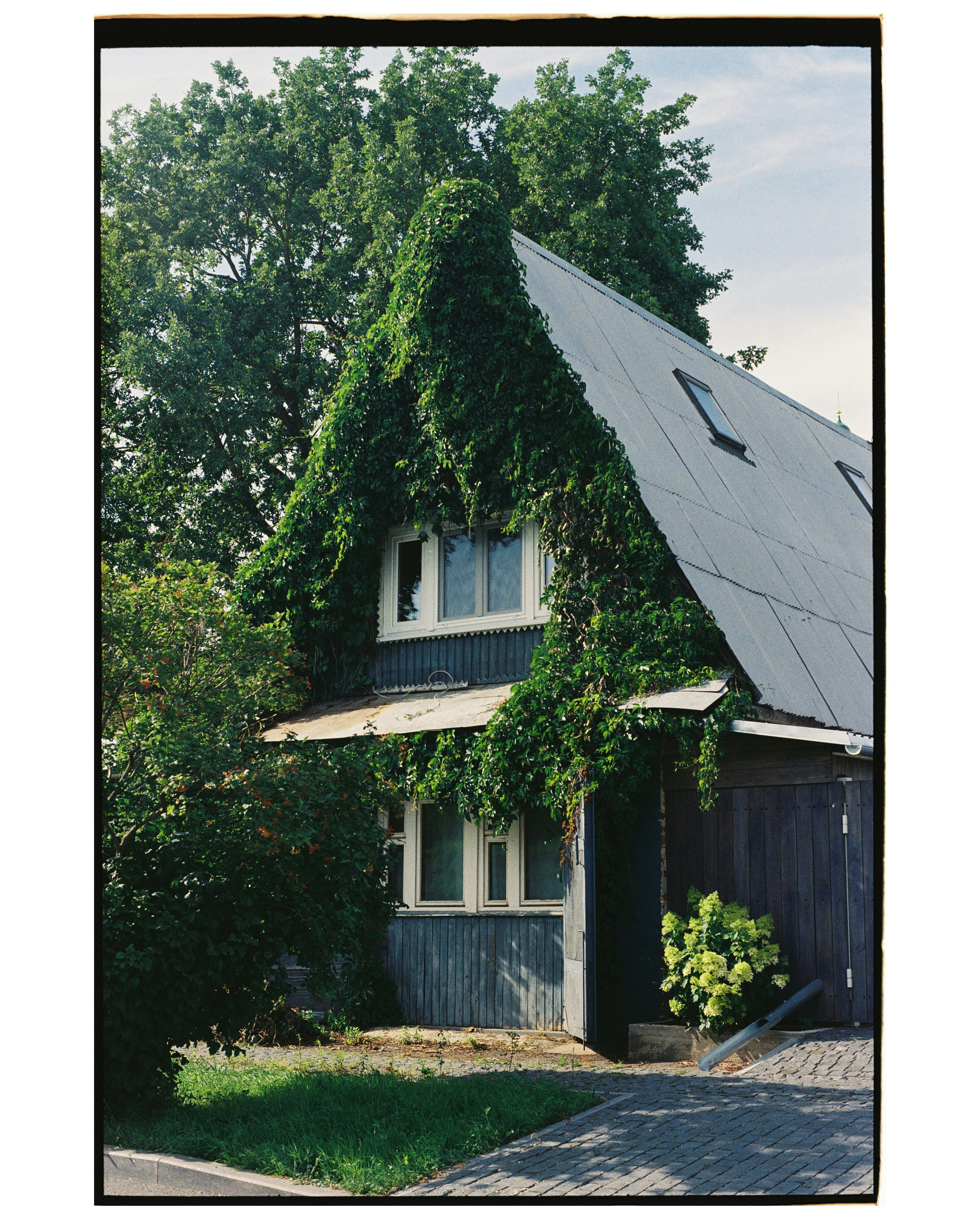 SUZDAL. ANNA — PHOTOGRAPHER