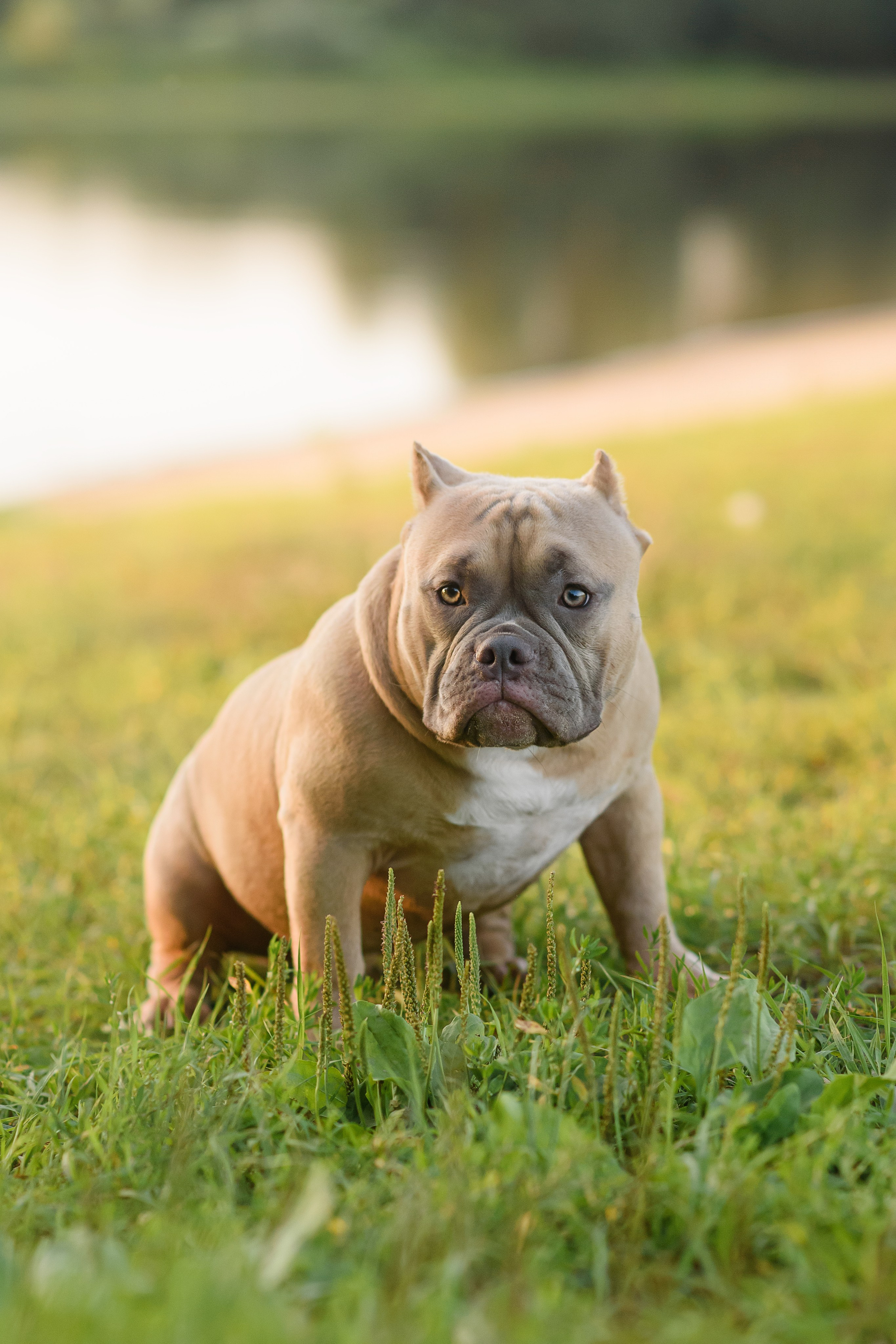 Аляска — Амбулли — 23.08.2024. Фотограф — Анималист | Анна Абрамова