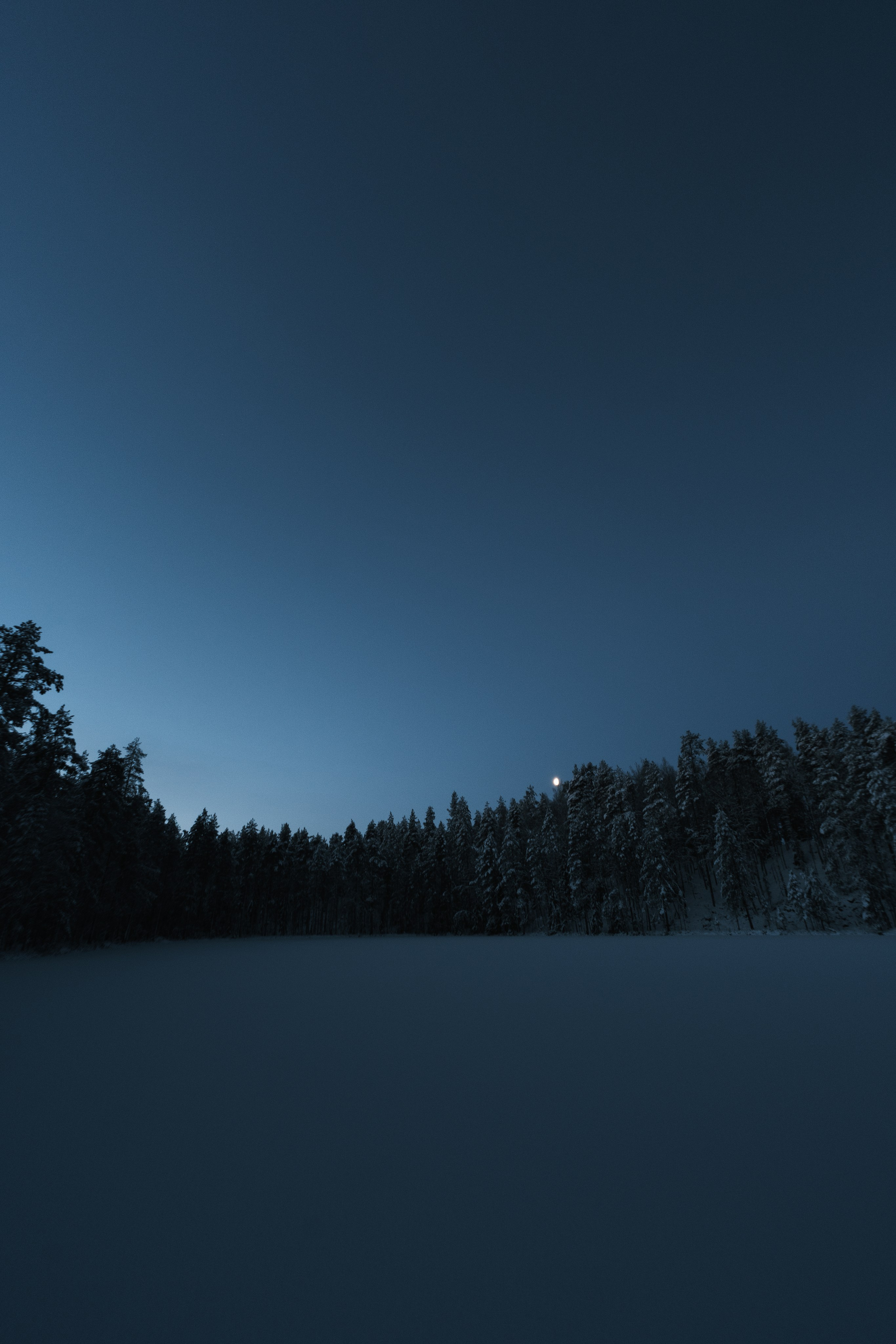 Пейзаж. Портретный фотограф Виктор Льерена