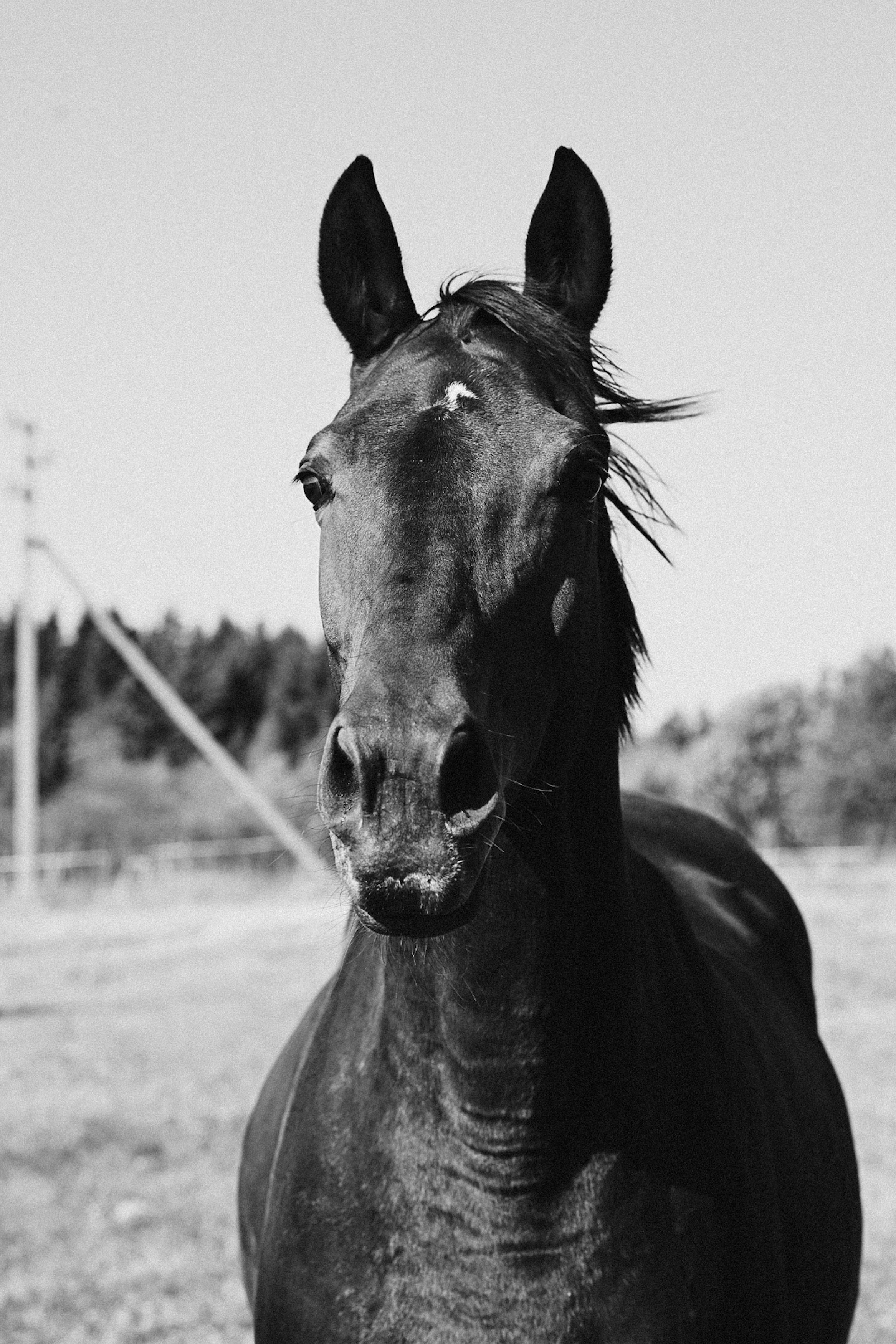 LifeStyle фотограф Анна Воробьёва Санкт-Петербург