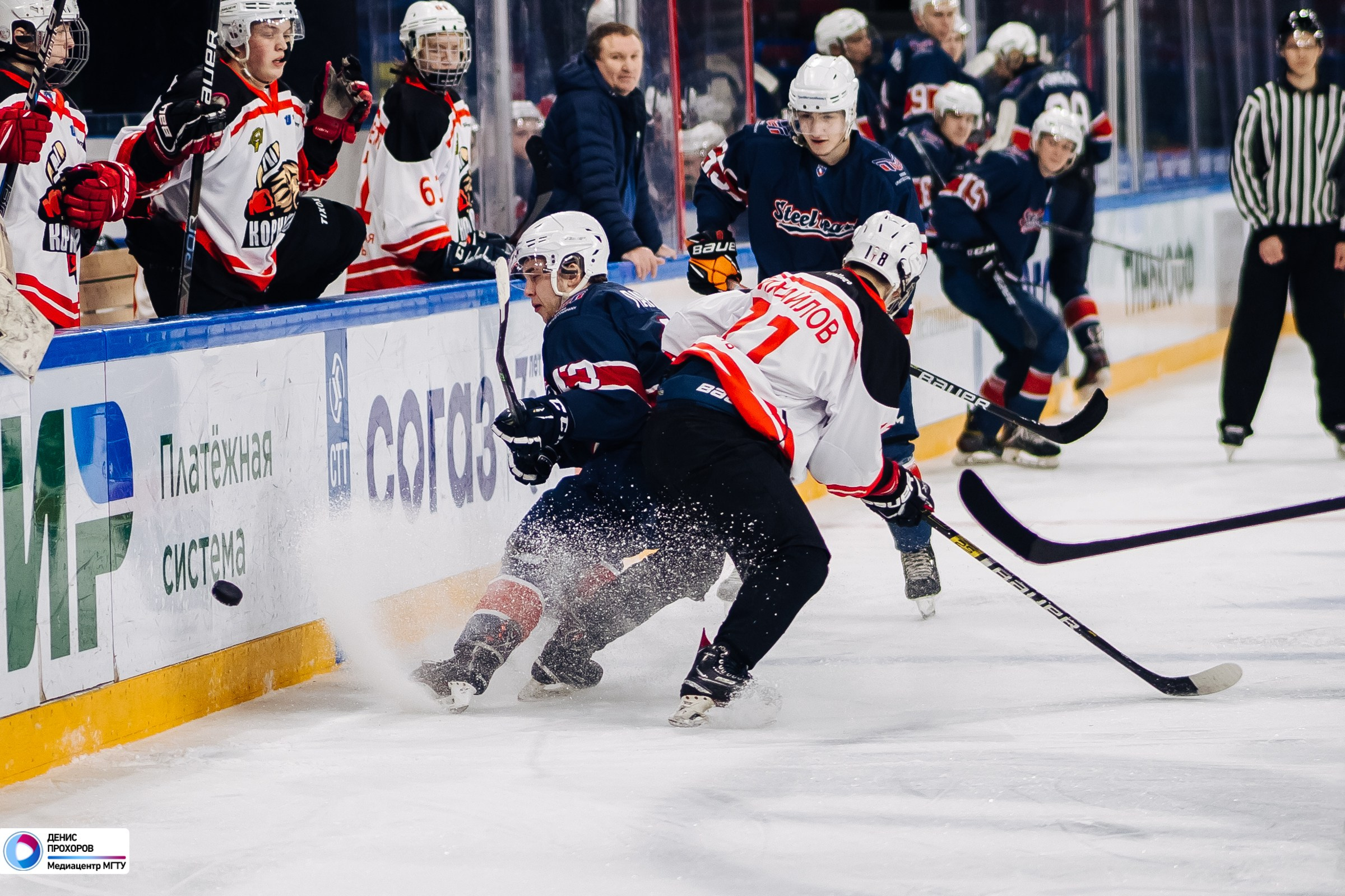 Чемпионат СХЛ // 04.02.2024. Денис Прохоров Фотограф в г. Магнитогорск