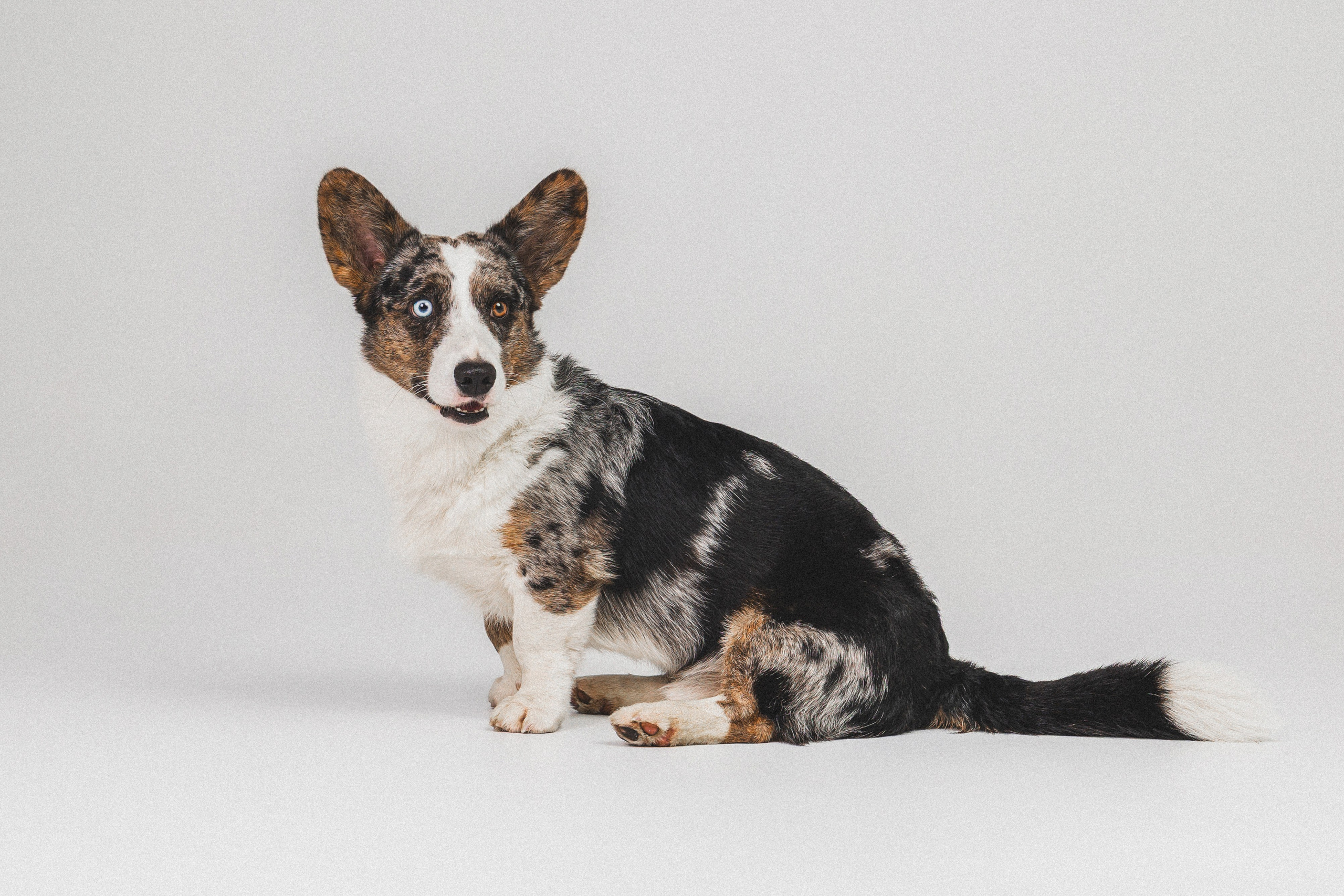 Анатолий и Рагнар