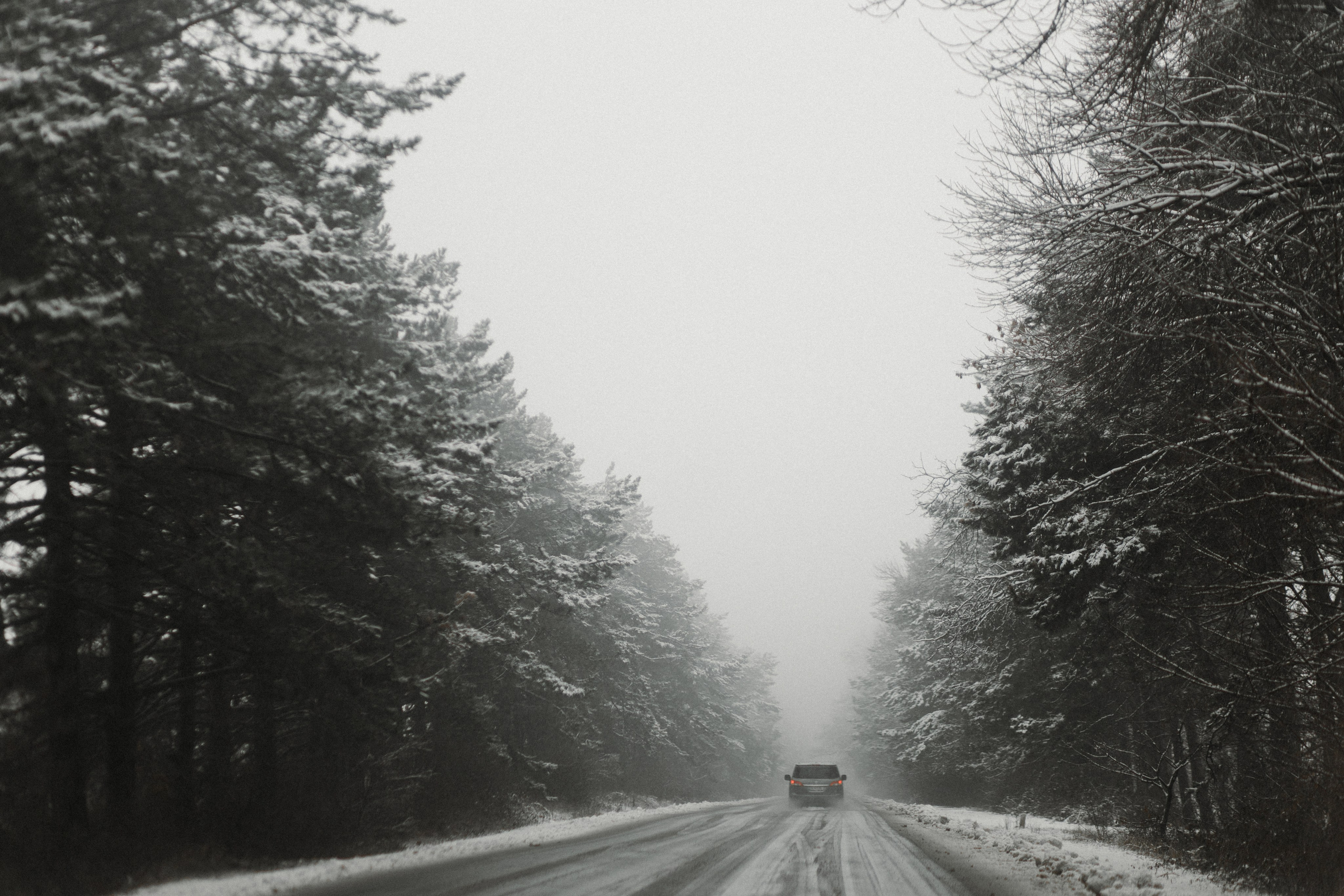 Winter in Bakuriani. Anastasia Blud Photography