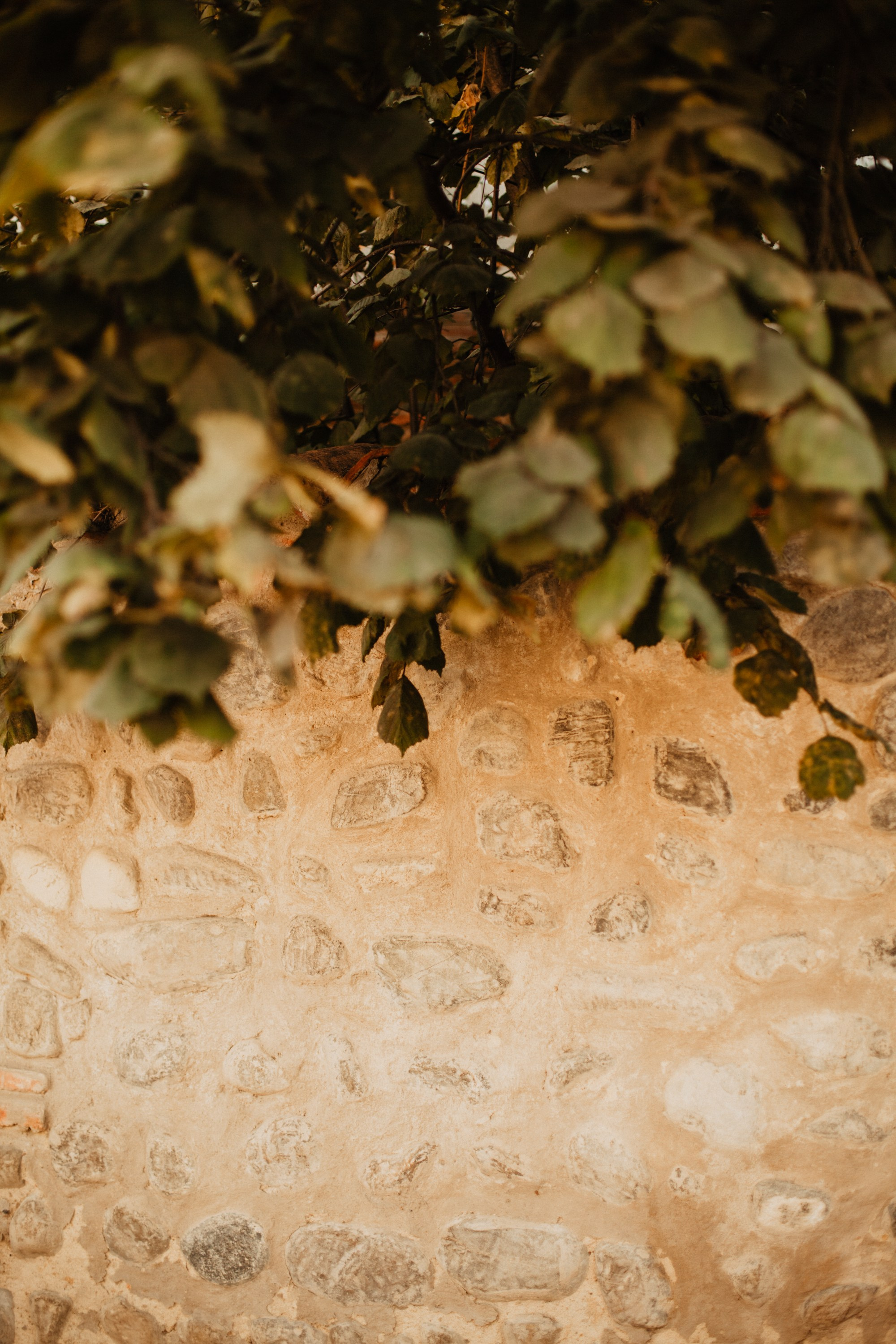 Грузинские каникулы. Violetta Skripka