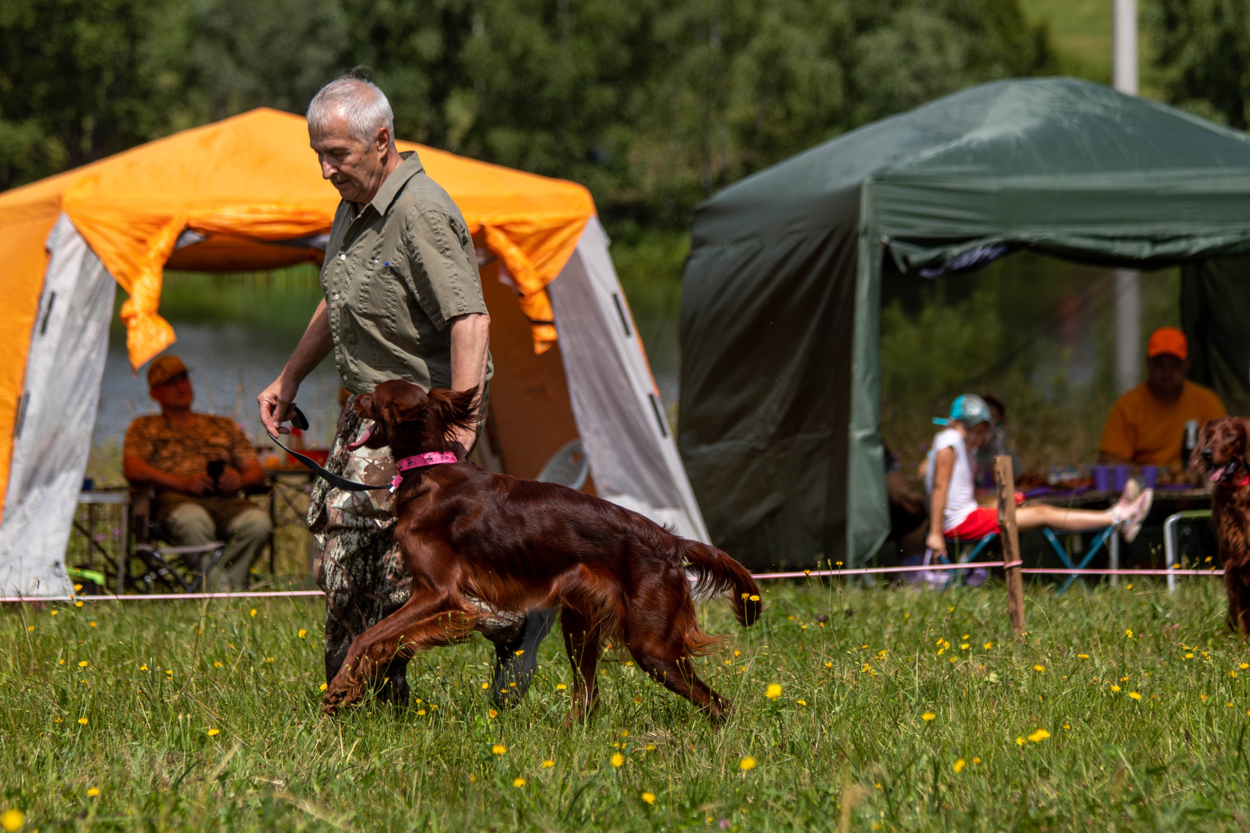 Репортажная съемка в Туле. Фотограф анималист — Тула, Москва