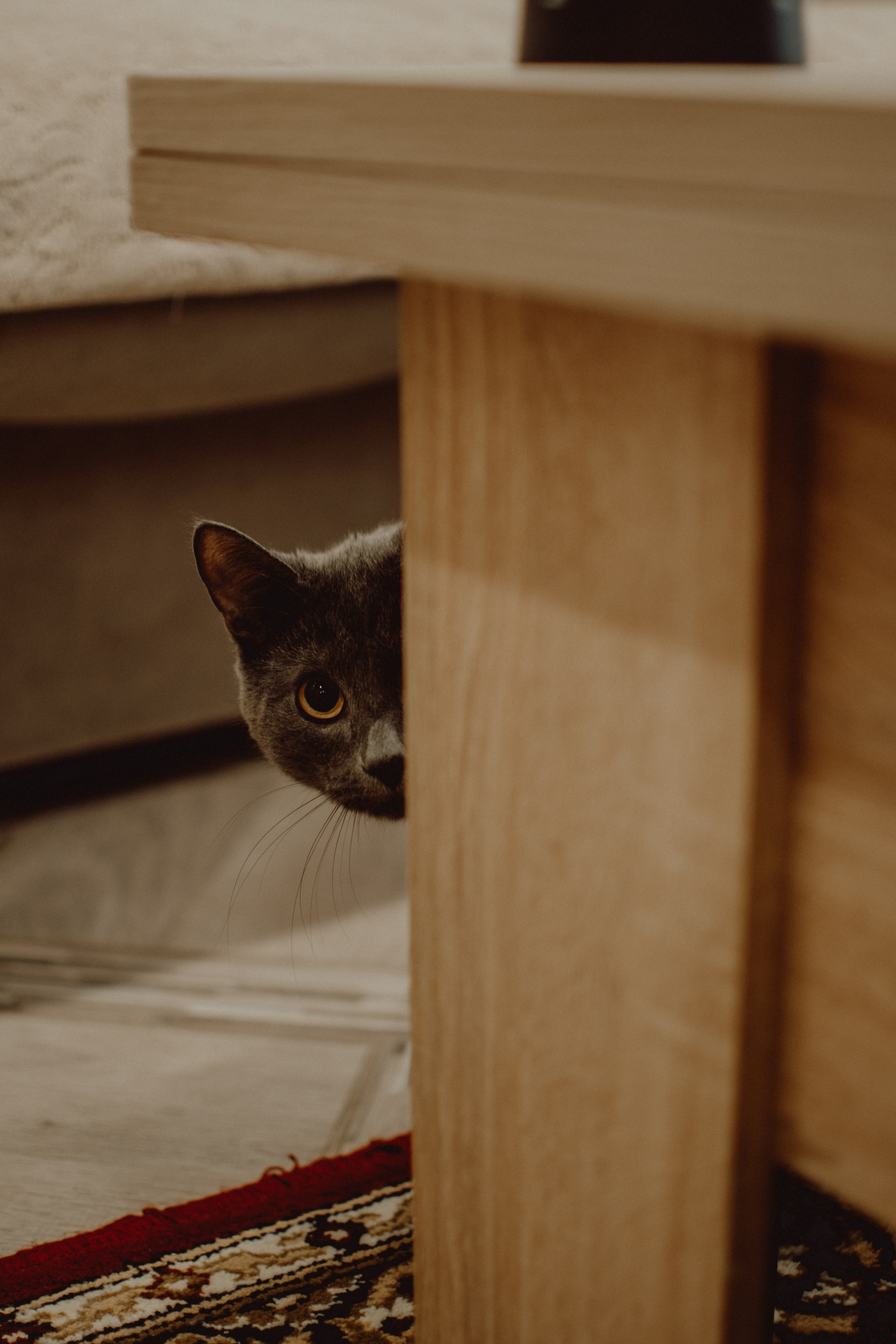 LEVON & KSENIA. Егор Засыпыч