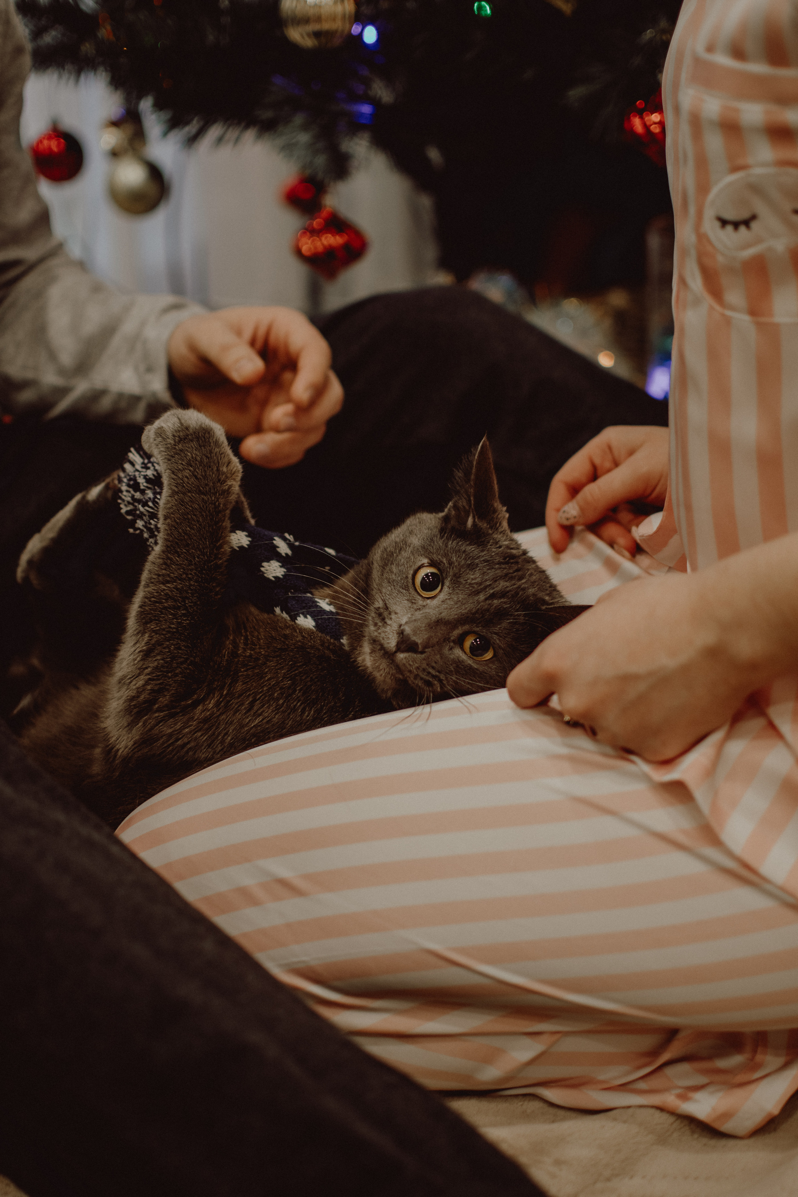 LEVON & KSENIA. Егор Засыпыч