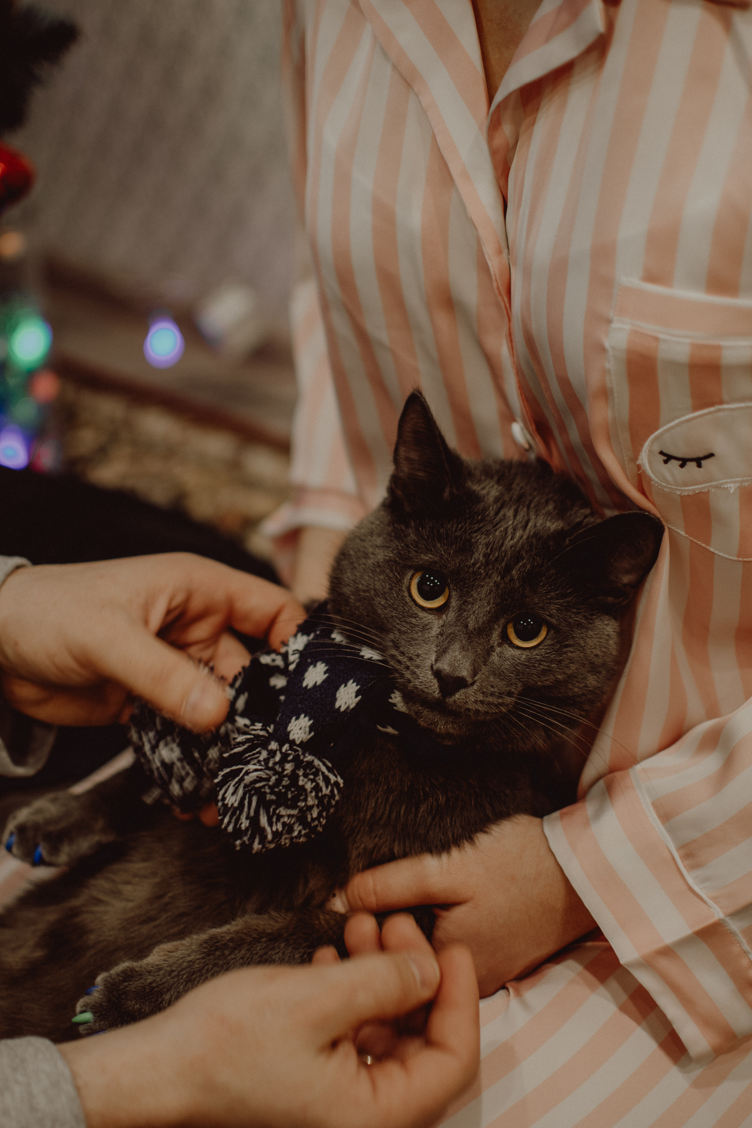 LEVON & KSENIA. Егор Засыпыч