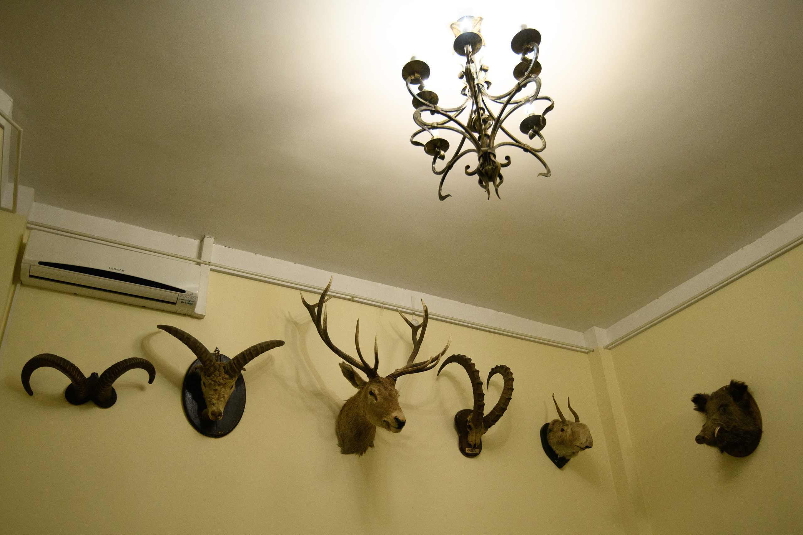 Кисловодск. Профессиональная фотосъемка. Ростов-на-Дону