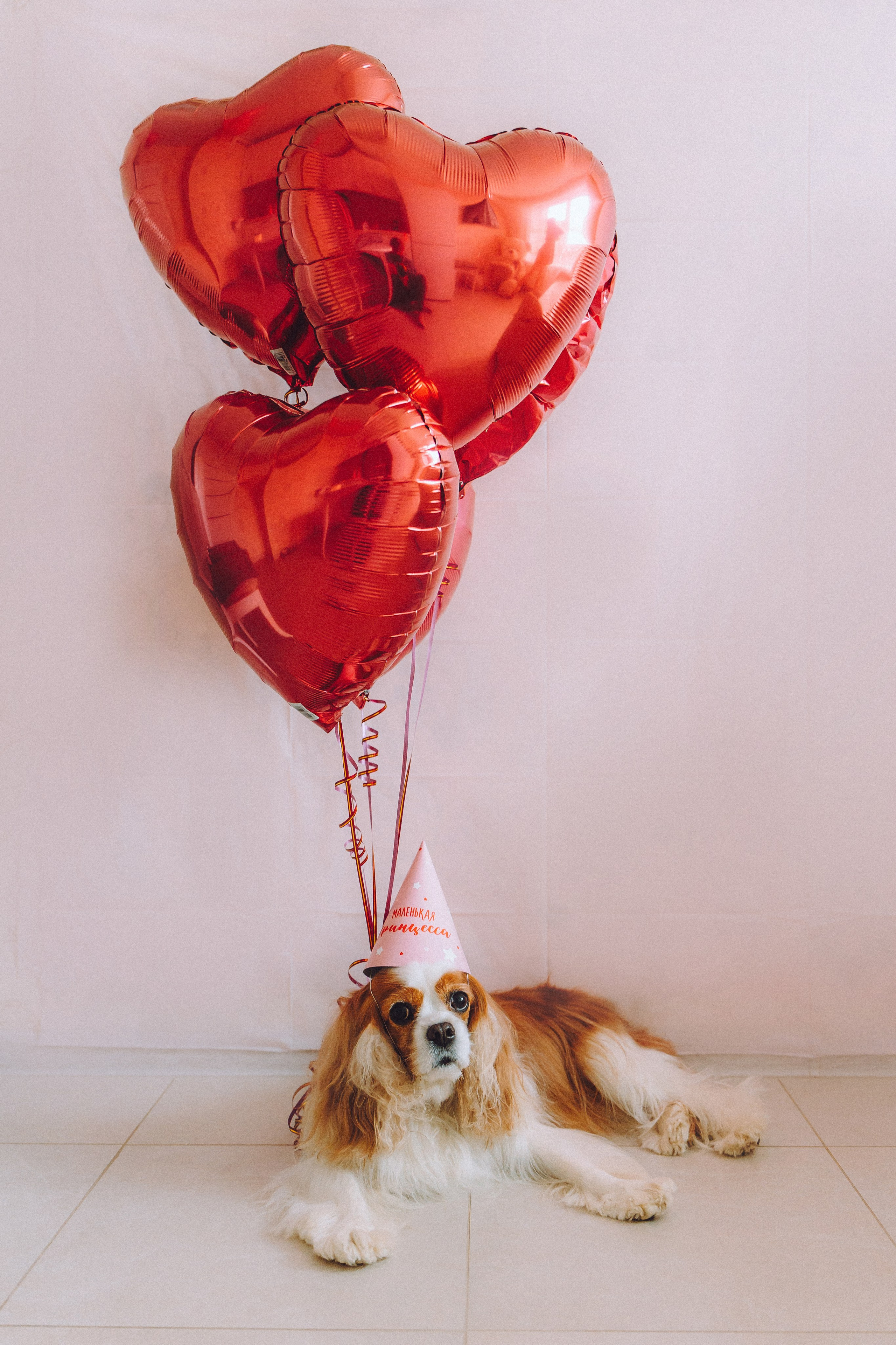 Наташа и Вики