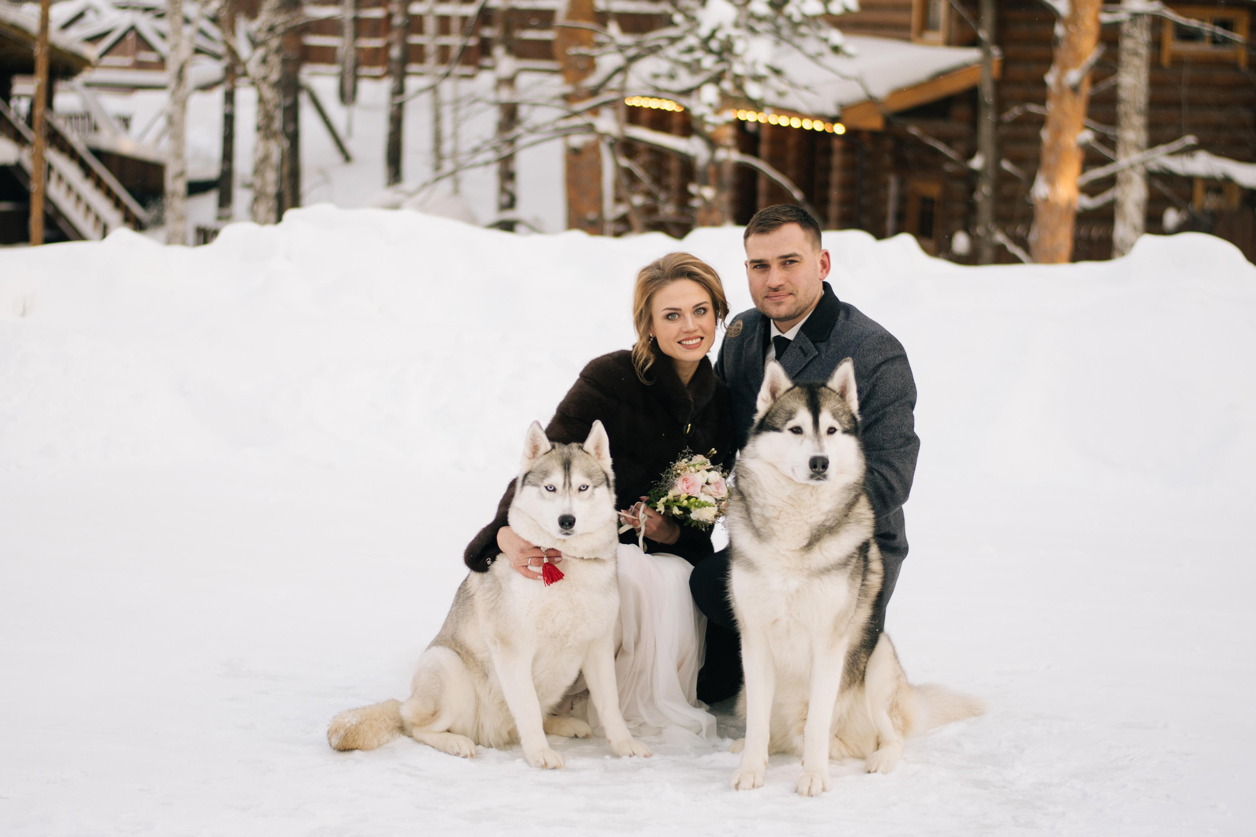 Фотосессия с хаски. Фотограф в Екатеринбурге Веретенова Наталья