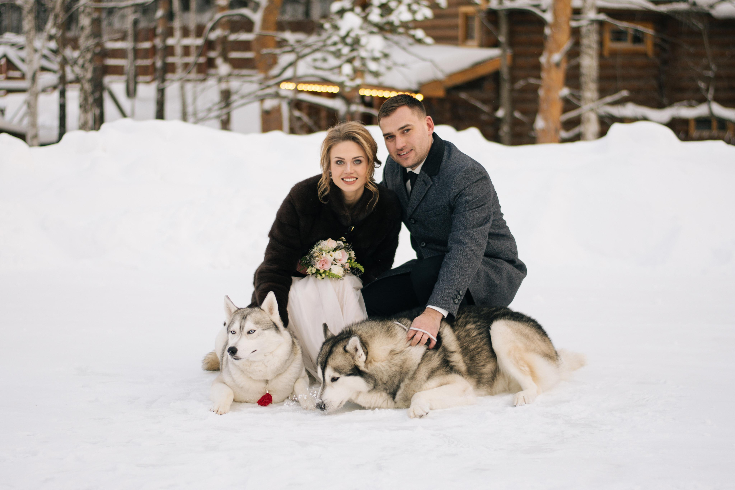 Фотосессия с хаски. Фотограф в Екатеринбурге Веретенова Наталья