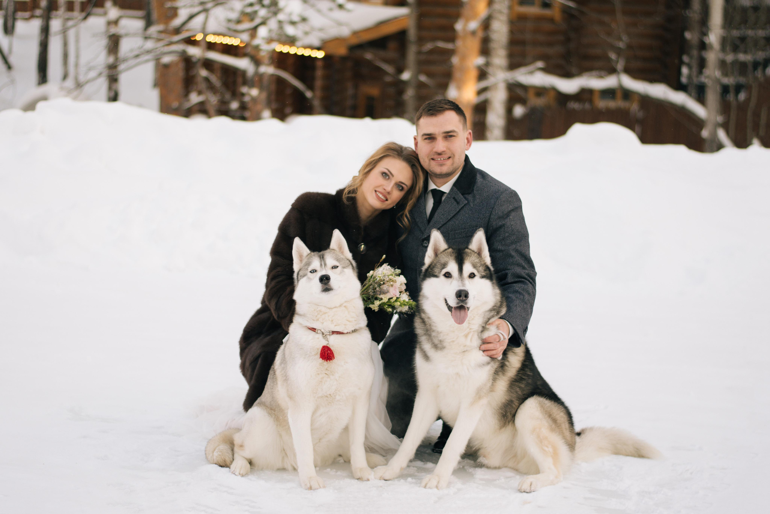 Фотосессия с хаски. Фотограф в Екатеринбурге Веретенова Наталья