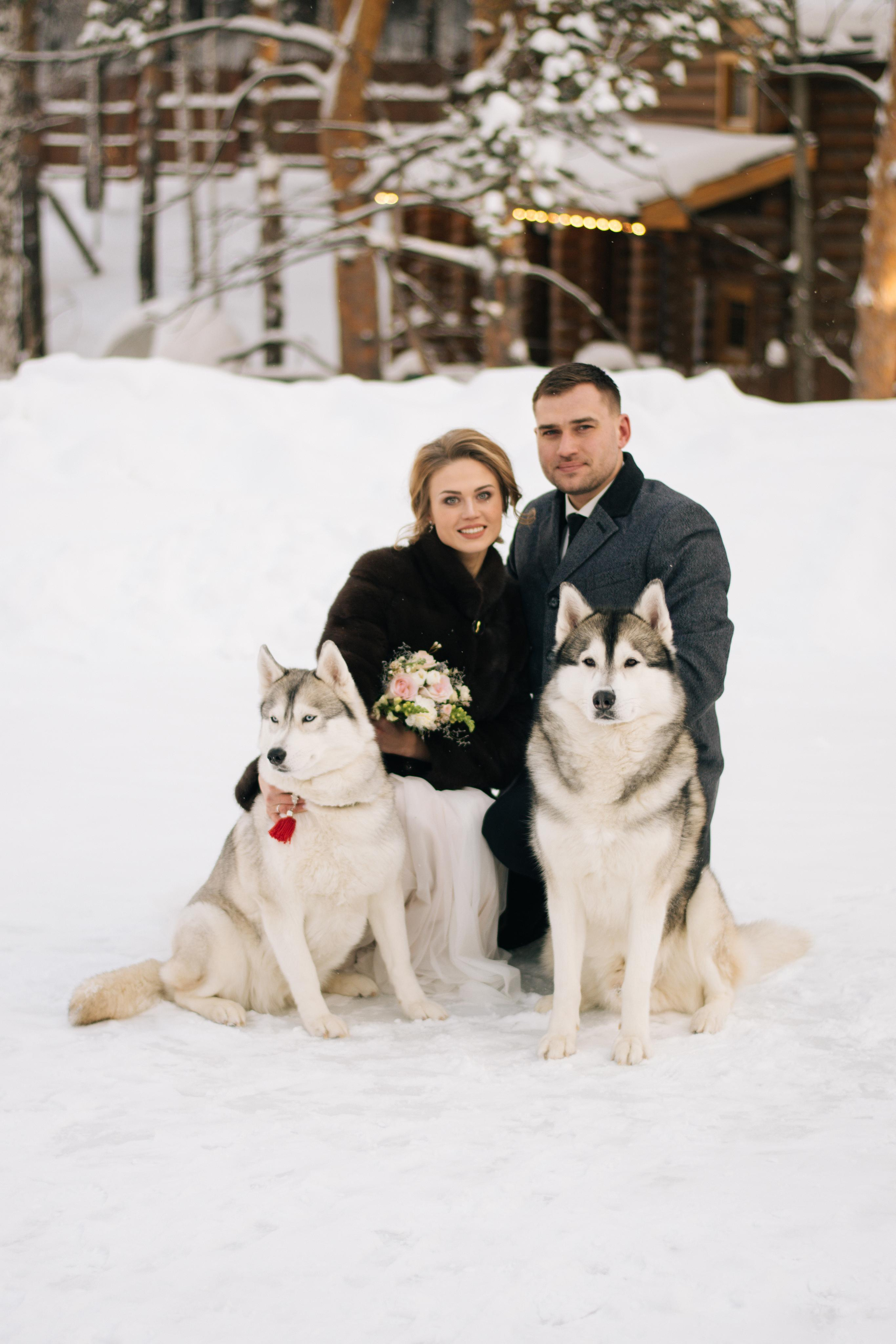 Фотосессия с хаски. Фотограф в Екатеринбурге Веретенова Наталья