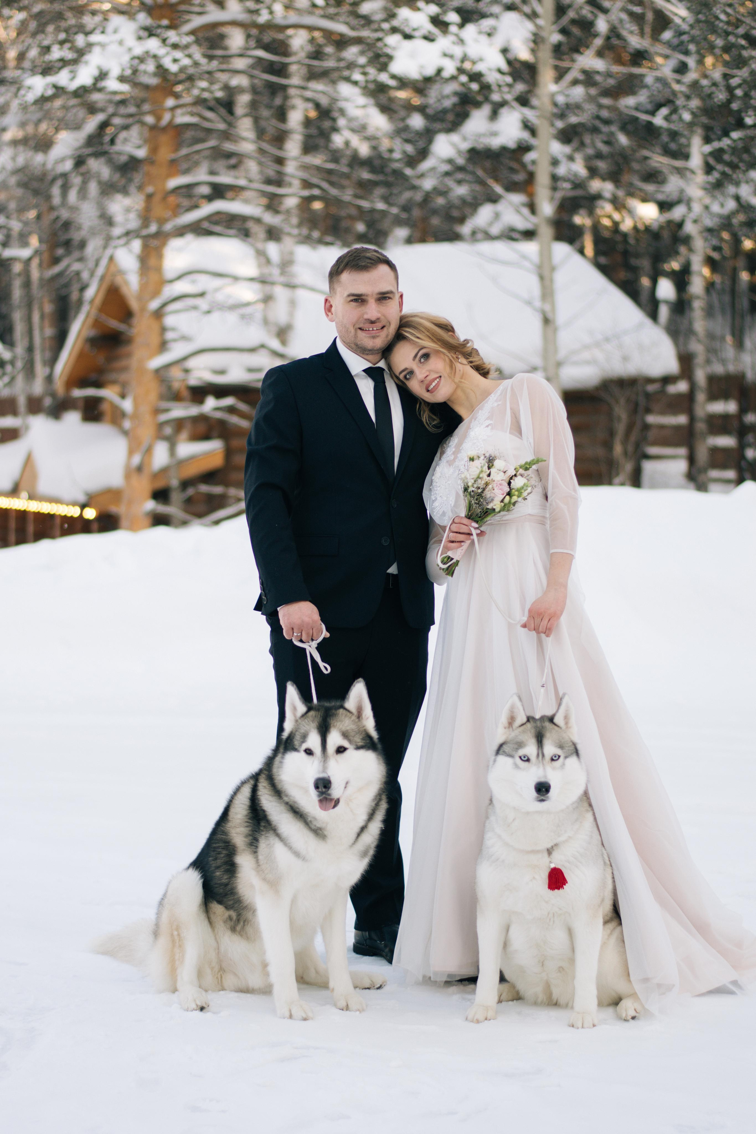 Фотосессия с хаски. Фотограф в Екатеринбурге Веретенова Наталья