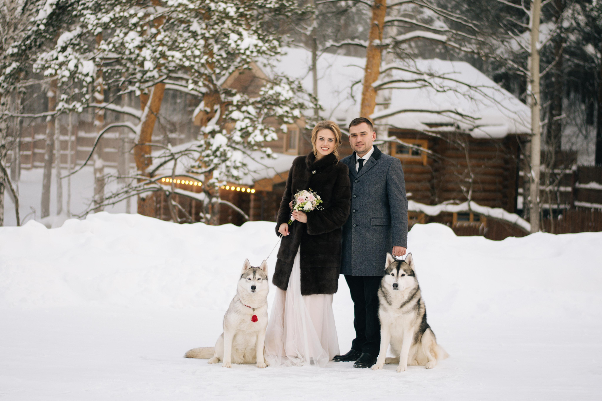 Фотосессия с хаски. Фотограф в Екатеринбурге Веретенова Наталья