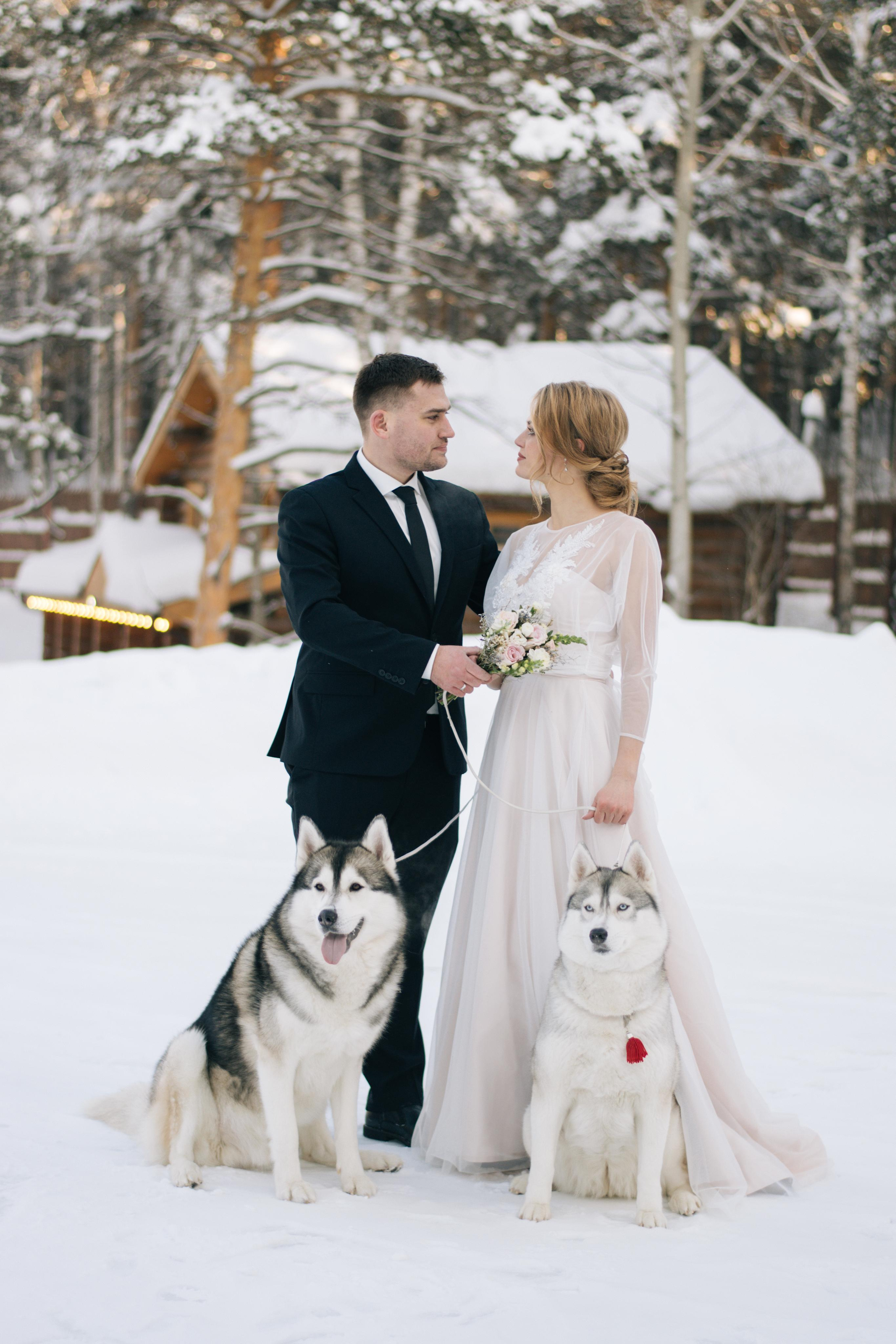 Фотосессия с хаски. Фотограф в Екатеринбурге Веретенова Наталья