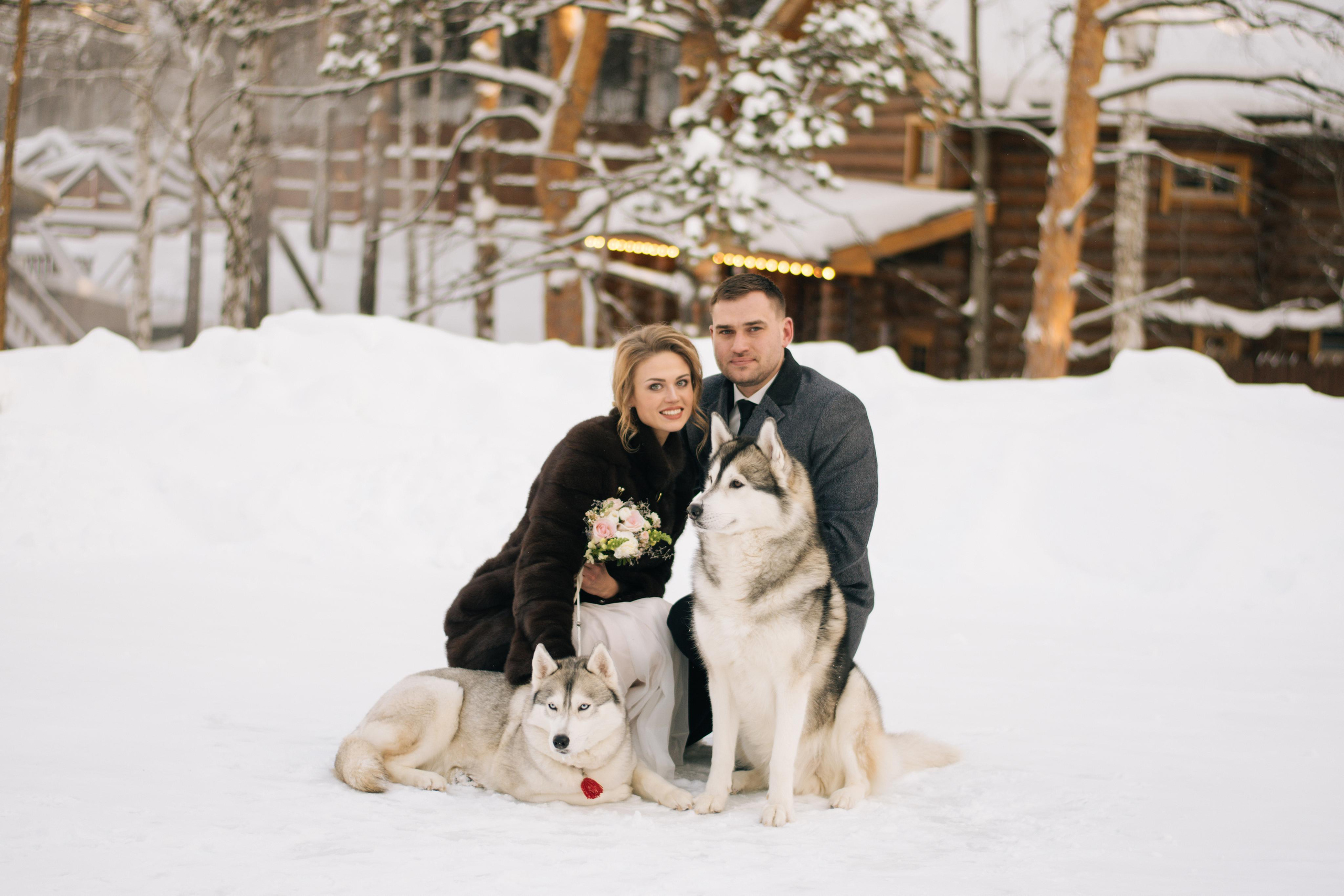 Фотосессия с хаски. Фотограф в Екатеринбурге Веретенова Наталья