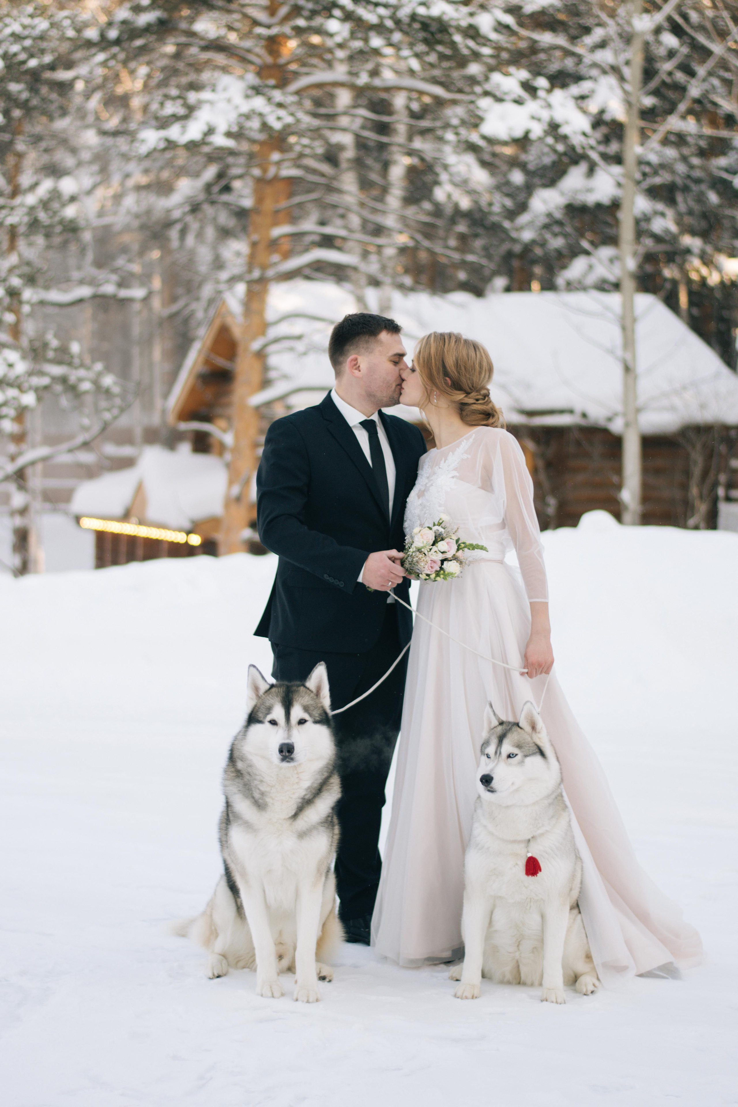 Фотосессия с хаски. Фотограф в Екатеринбурге Веретенова Наталья
