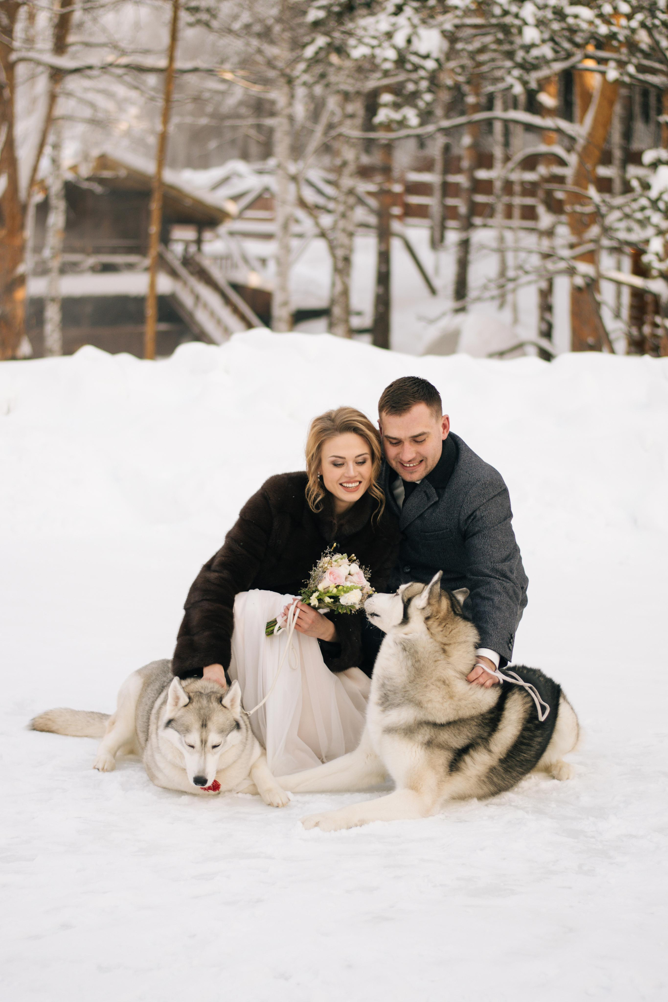 Фотосессия с хаски. Фотограф в Екатеринбурге Веретенова Наталья