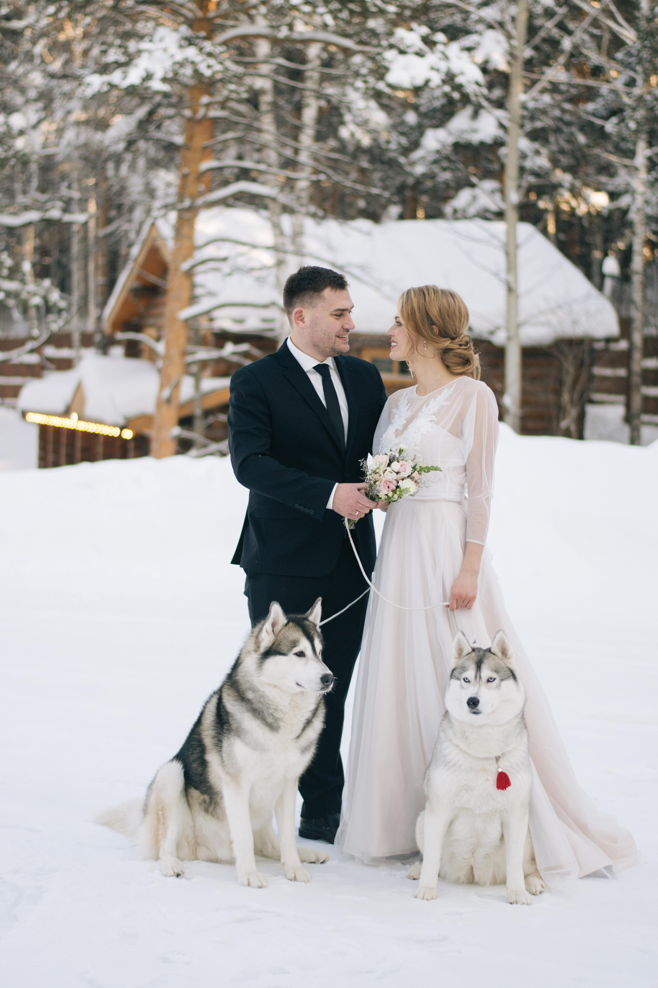 Фотосессия с хаски. Фотограф в Екатеринбурге Веретенова Наталья