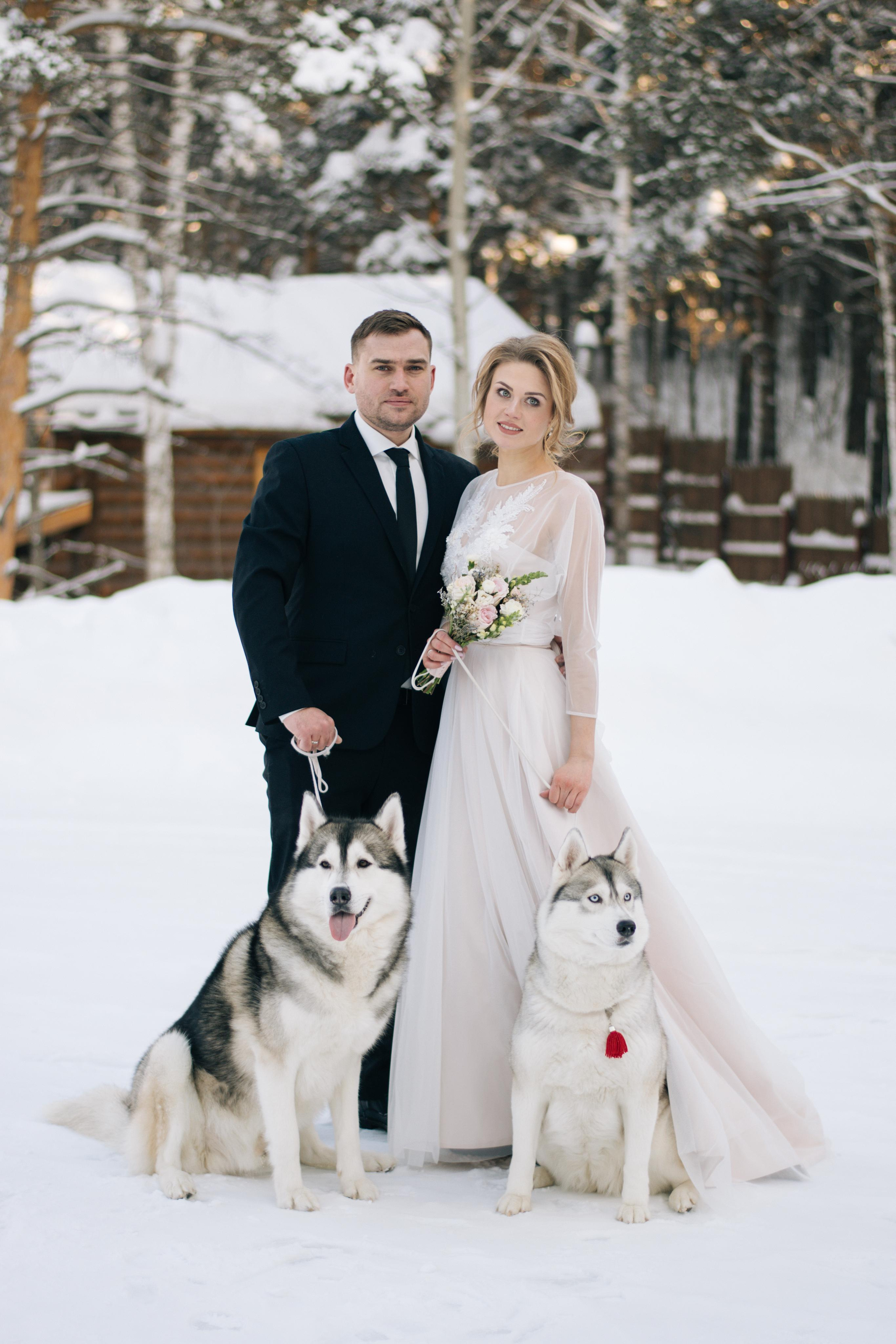 Фотосессия с хаски. Фотограф в Екатеринбурге Веретенова Наталья