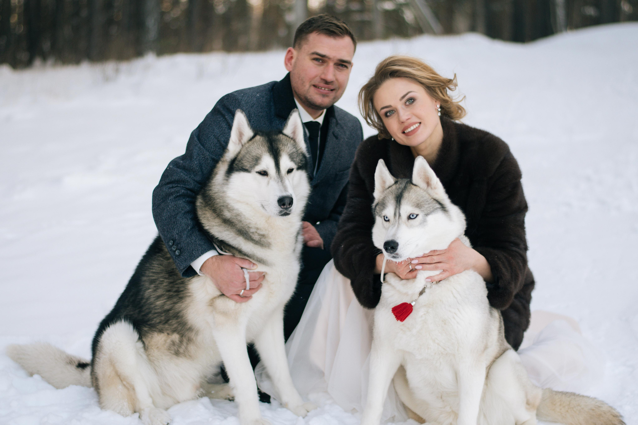 Фотосессия с хаски. Фотограф в Екатеринбурге Веретенова Наталья