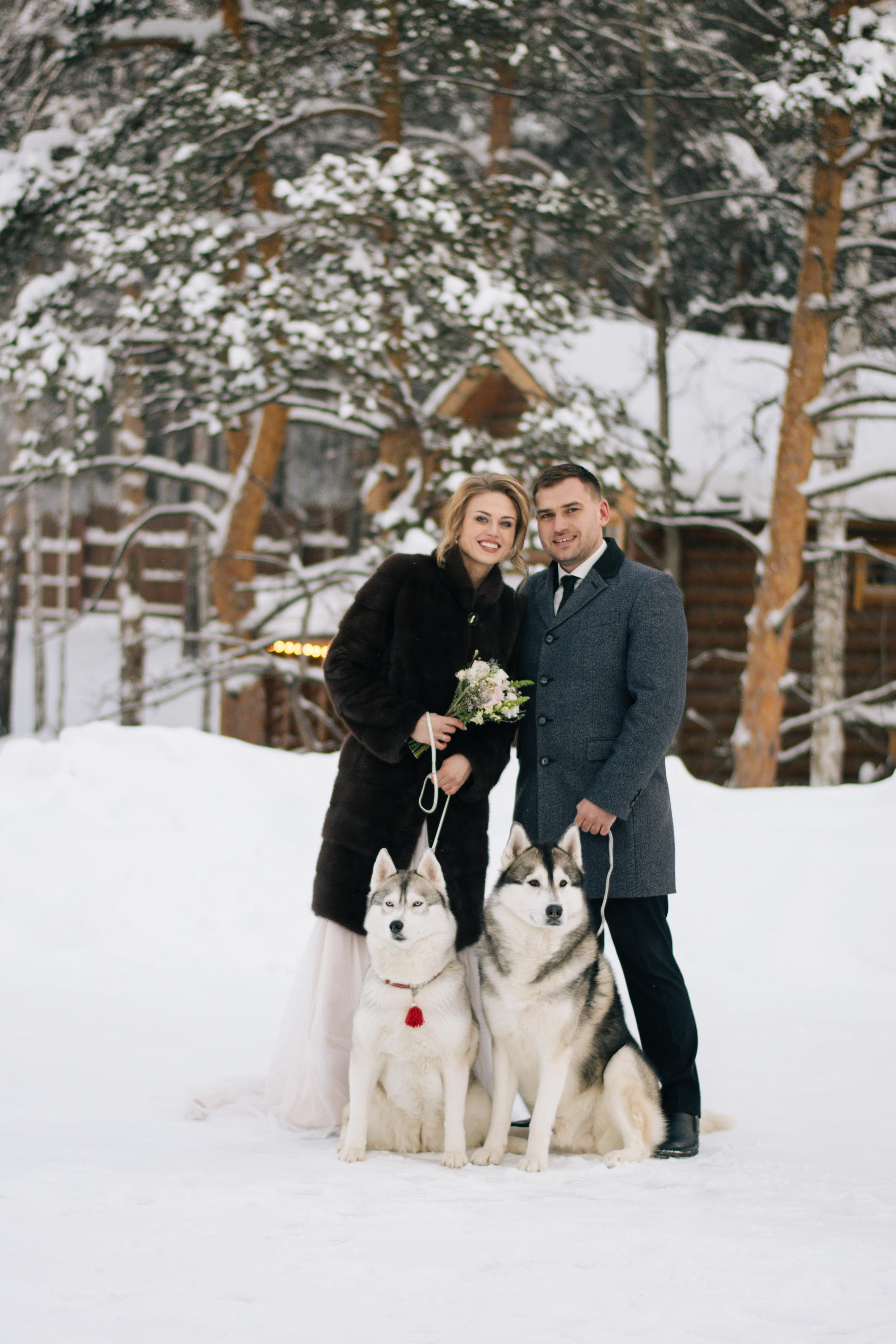 Фотосессия с хаски. Фотограф в Екатеринбурге Веретенова Наталья