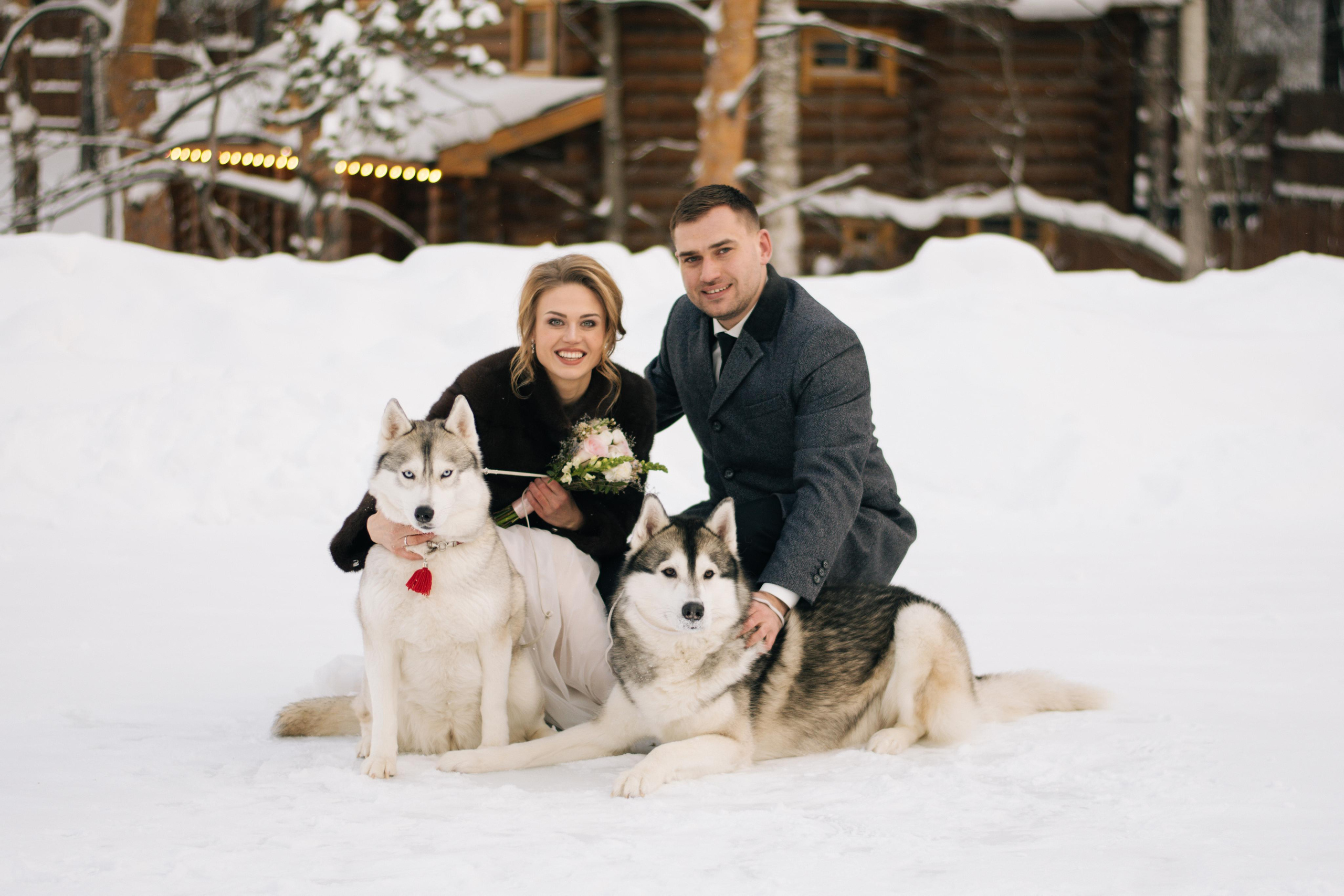 Фотосессия с хаски. Фотограф в Екатеринбурге Веретенова Наталья