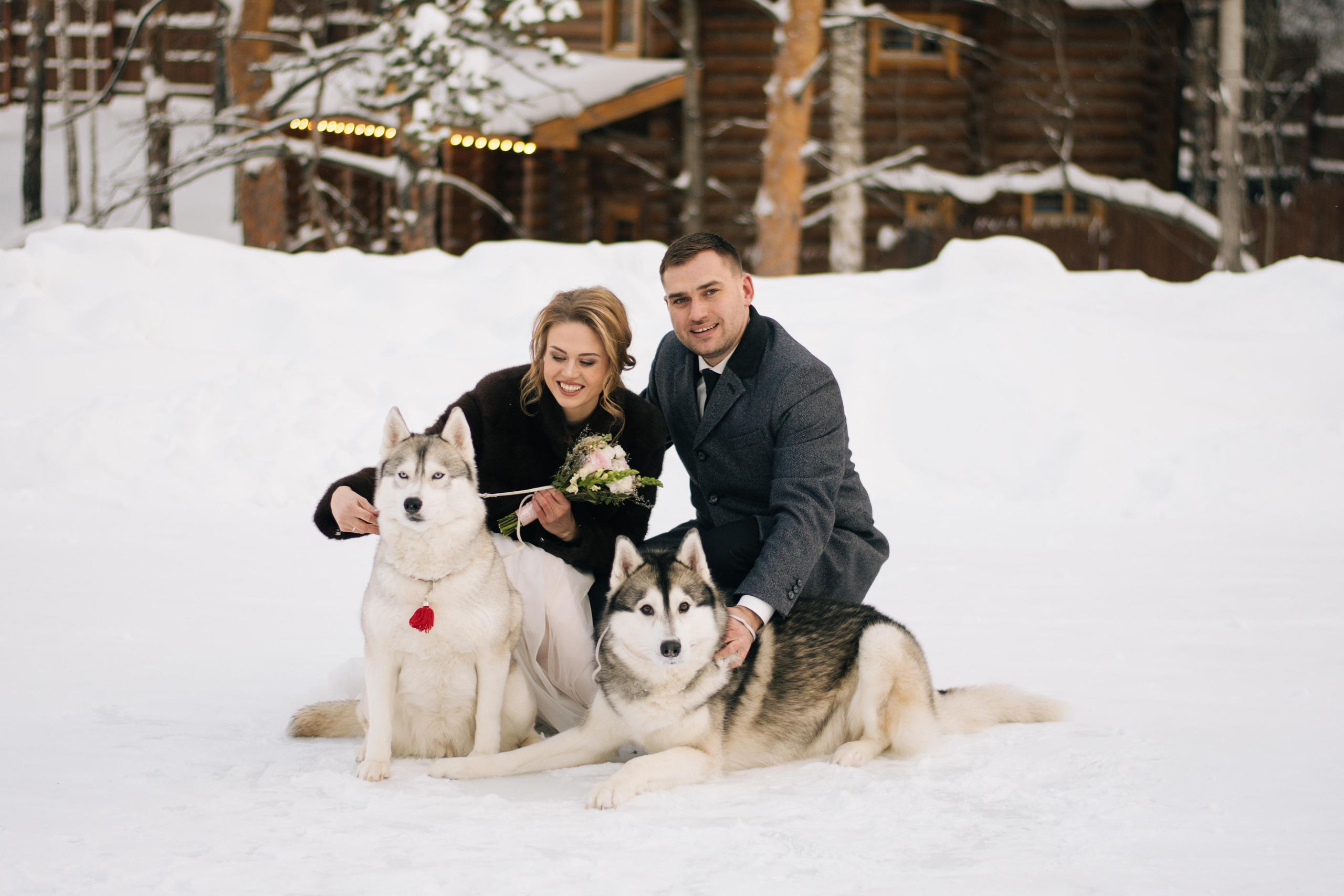 Фотосессия с хаски. Фотограф в Екатеринбурге Веретенова Наталья