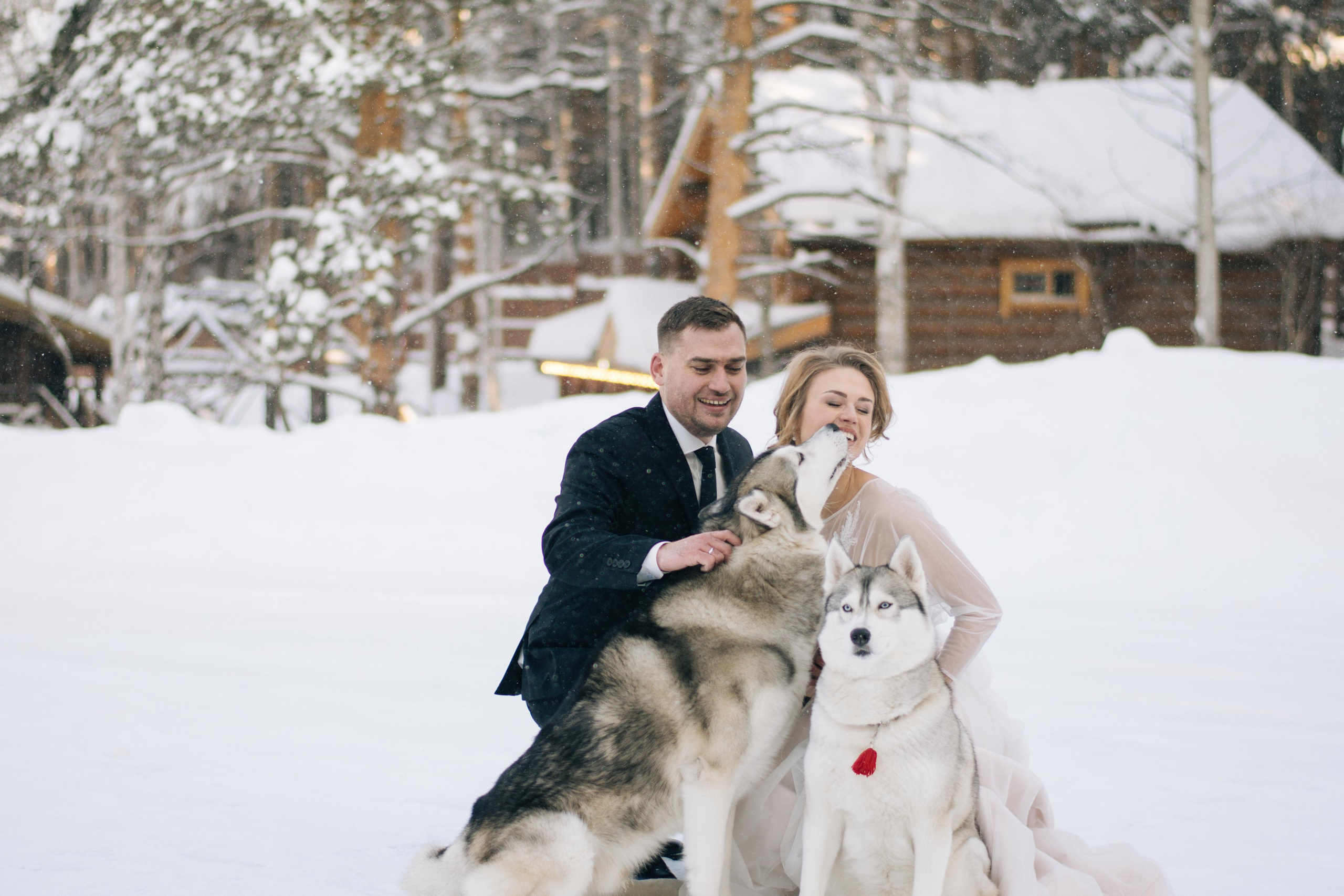 Фотосессия с хаски. Фотограф в Екатеринбурге Веретенова Наталья