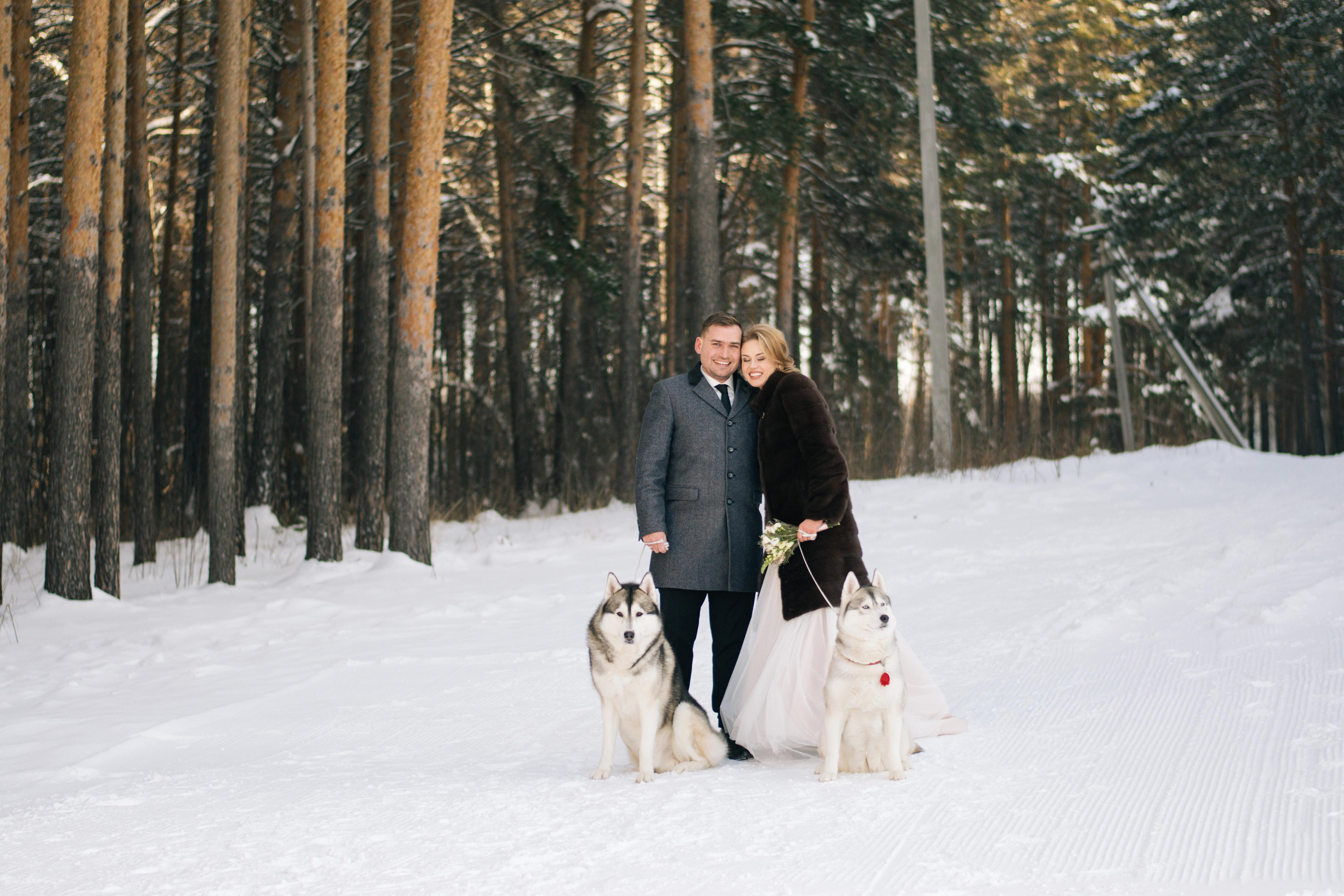 Фотосессия с хаски. Фотограф в Екатеринбурге Веретенова Наталья