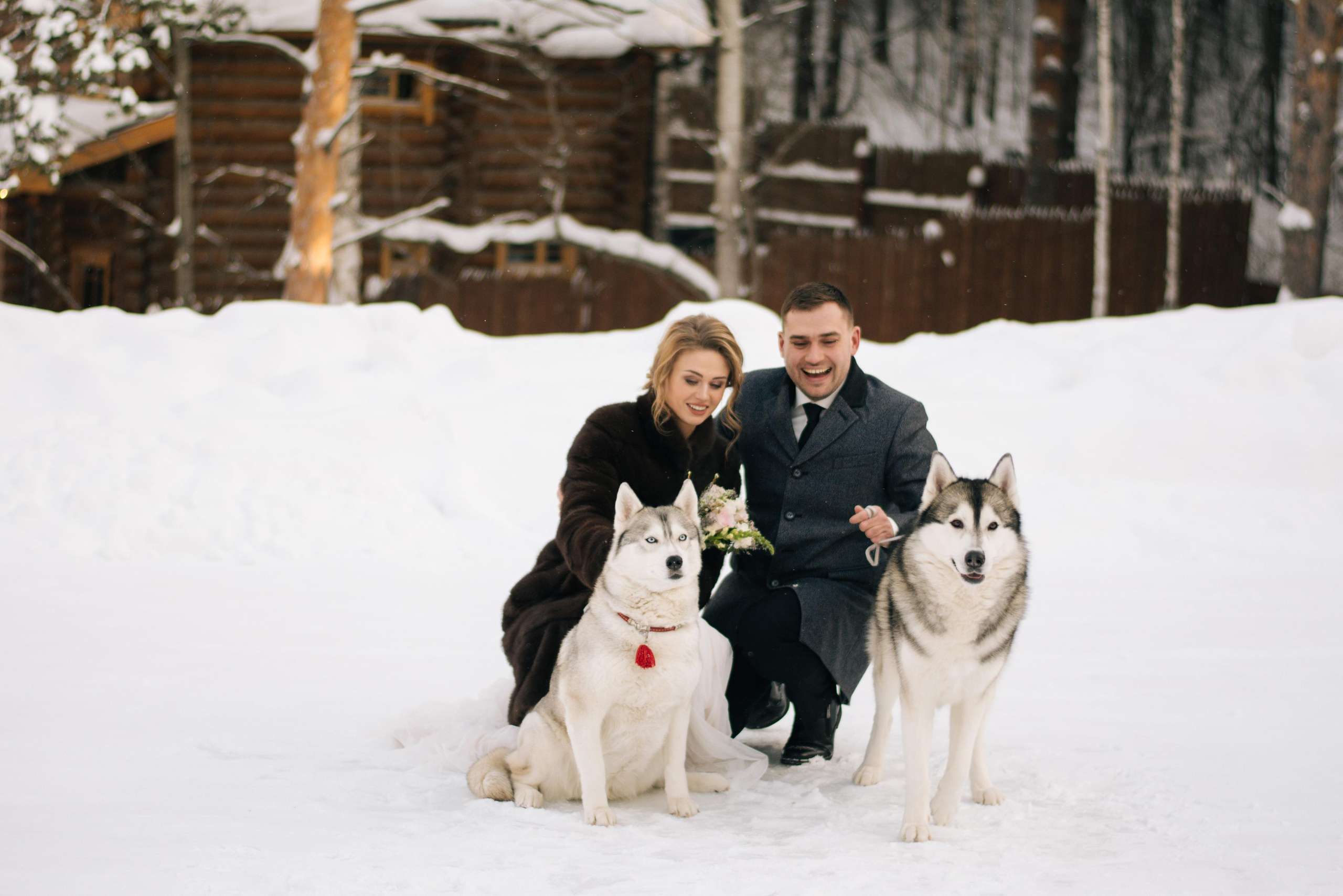 Фотосессия с хаски. Фотограф в Екатеринбурге Веретенова Наталья
