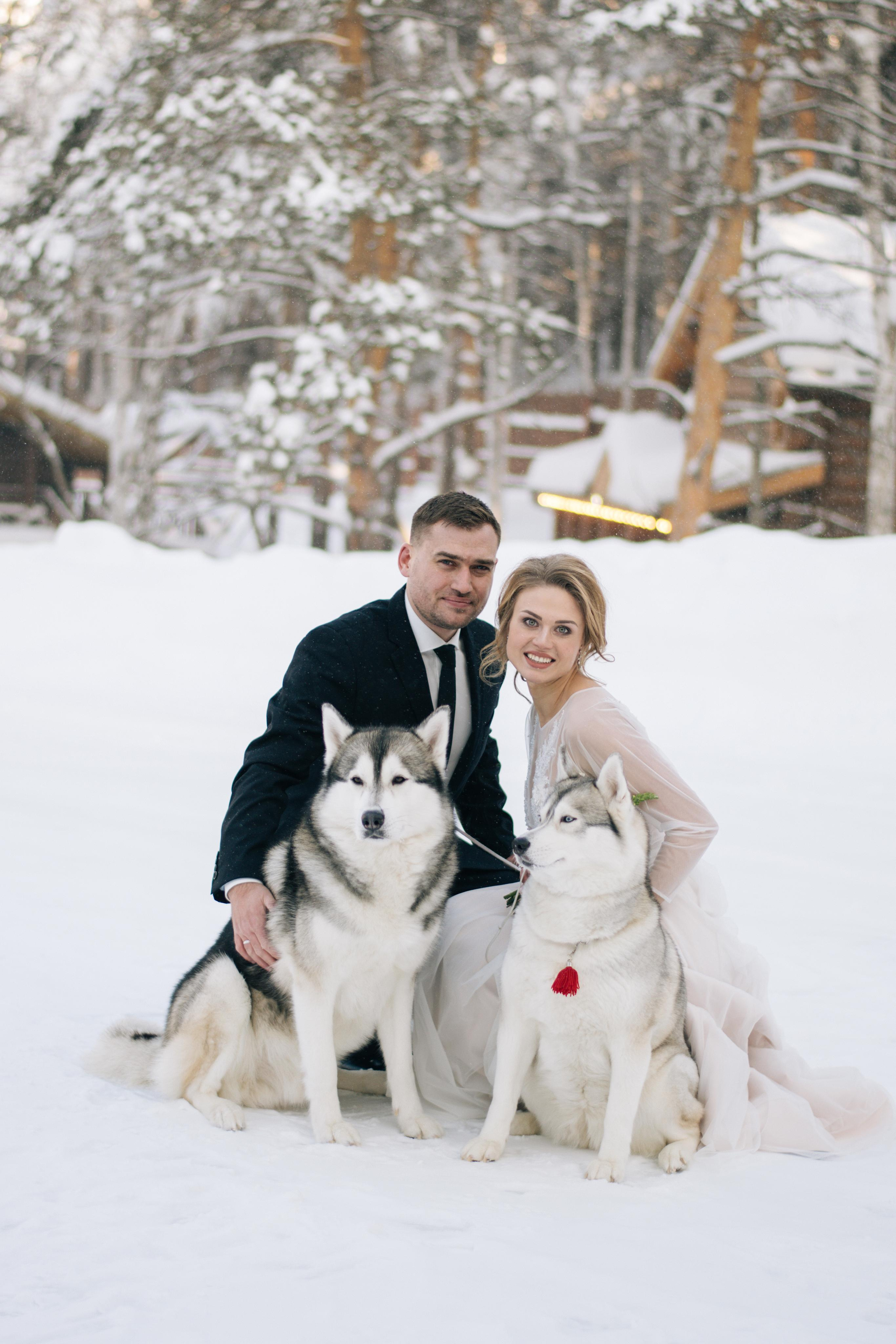 Фотосессия с хаски. Фотограф в Екатеринбурге Веретенова Наталья