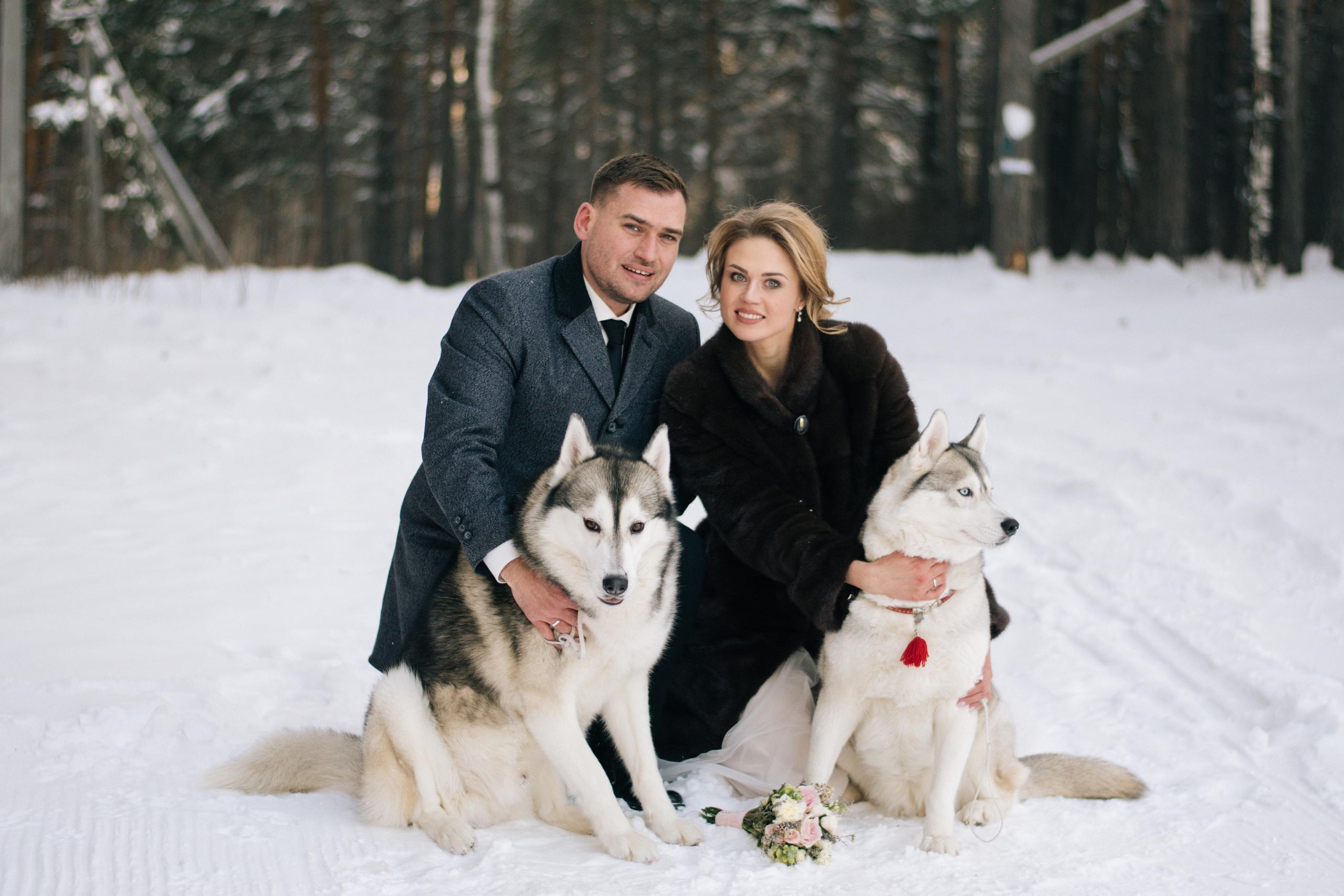 Фотосессия с хаски. Фотограф в Екатеринбурге Веретенова Наталья