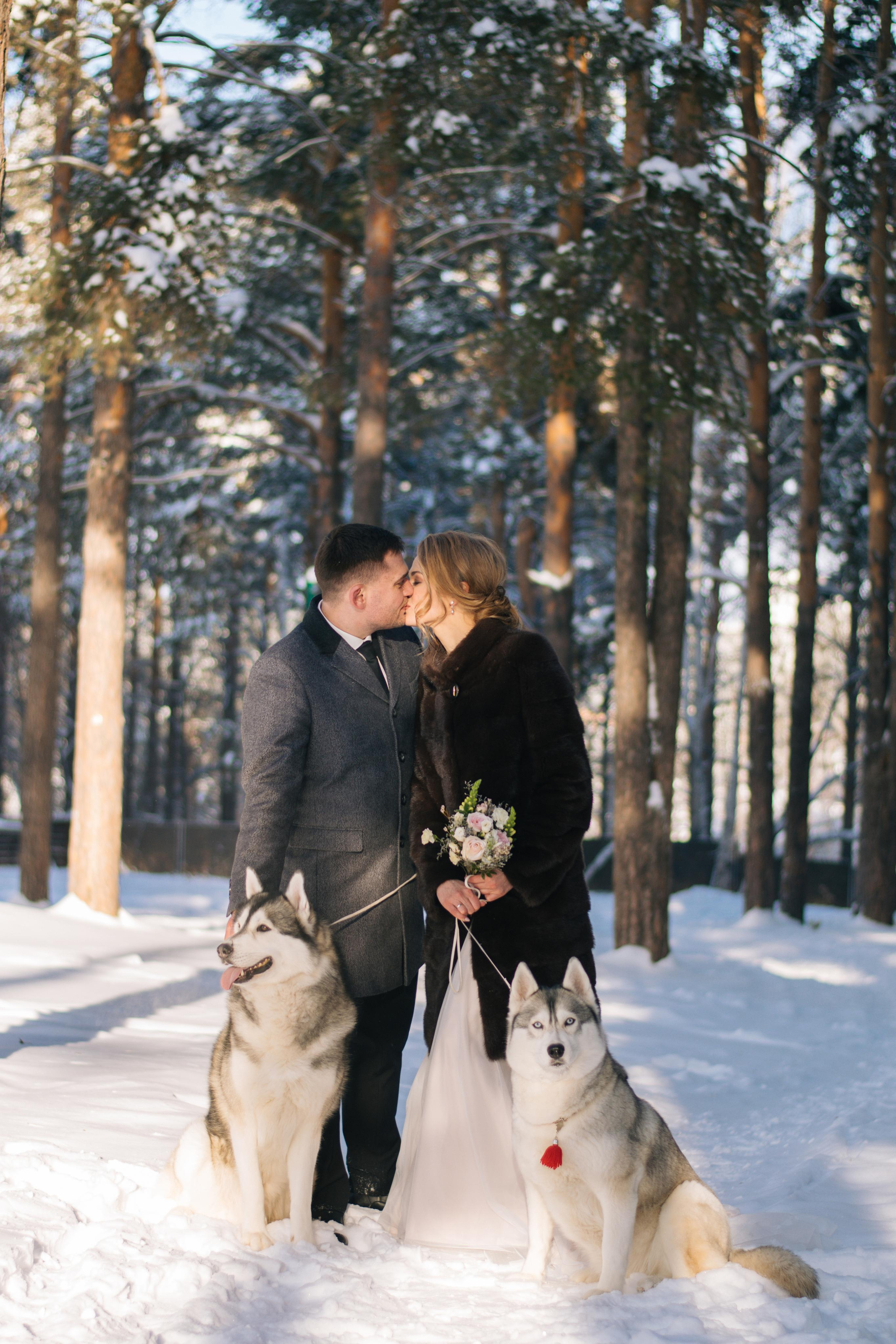 Фотосессия с хаски. Фотограф в Екатеринбурге Веретенова Наталья