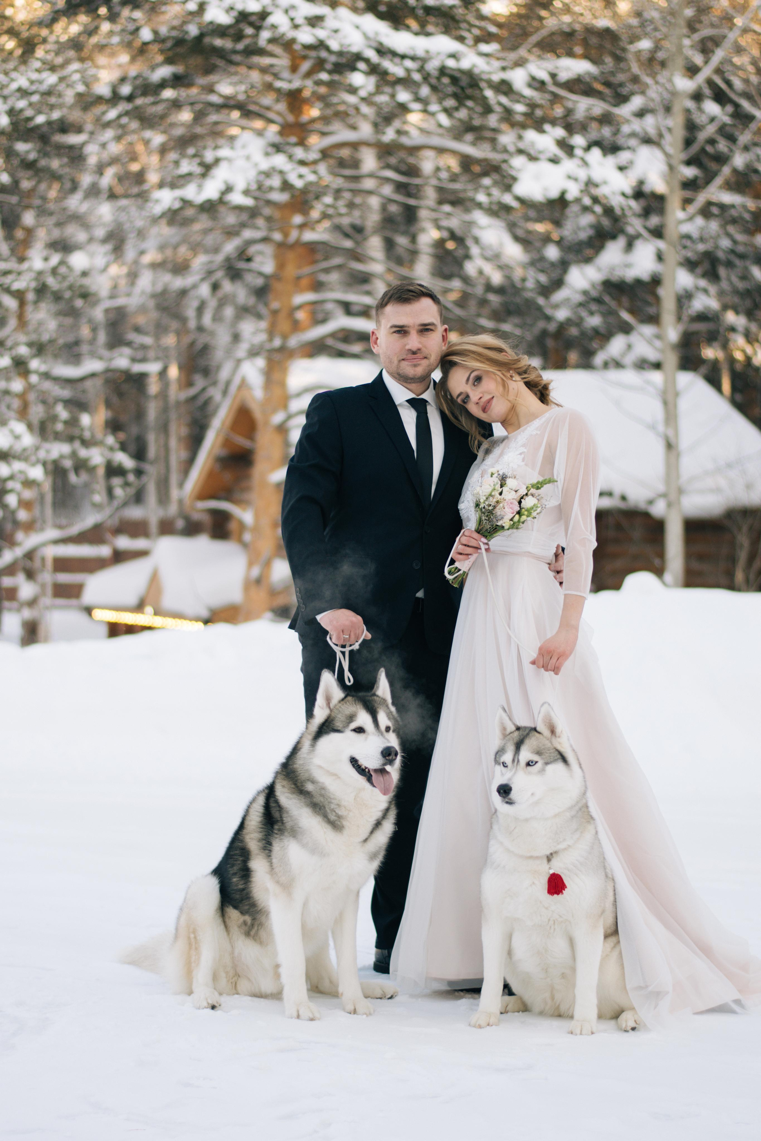 Фотосессия с хаски. Фотограф в Екатеринбурге Веретенова Наталья