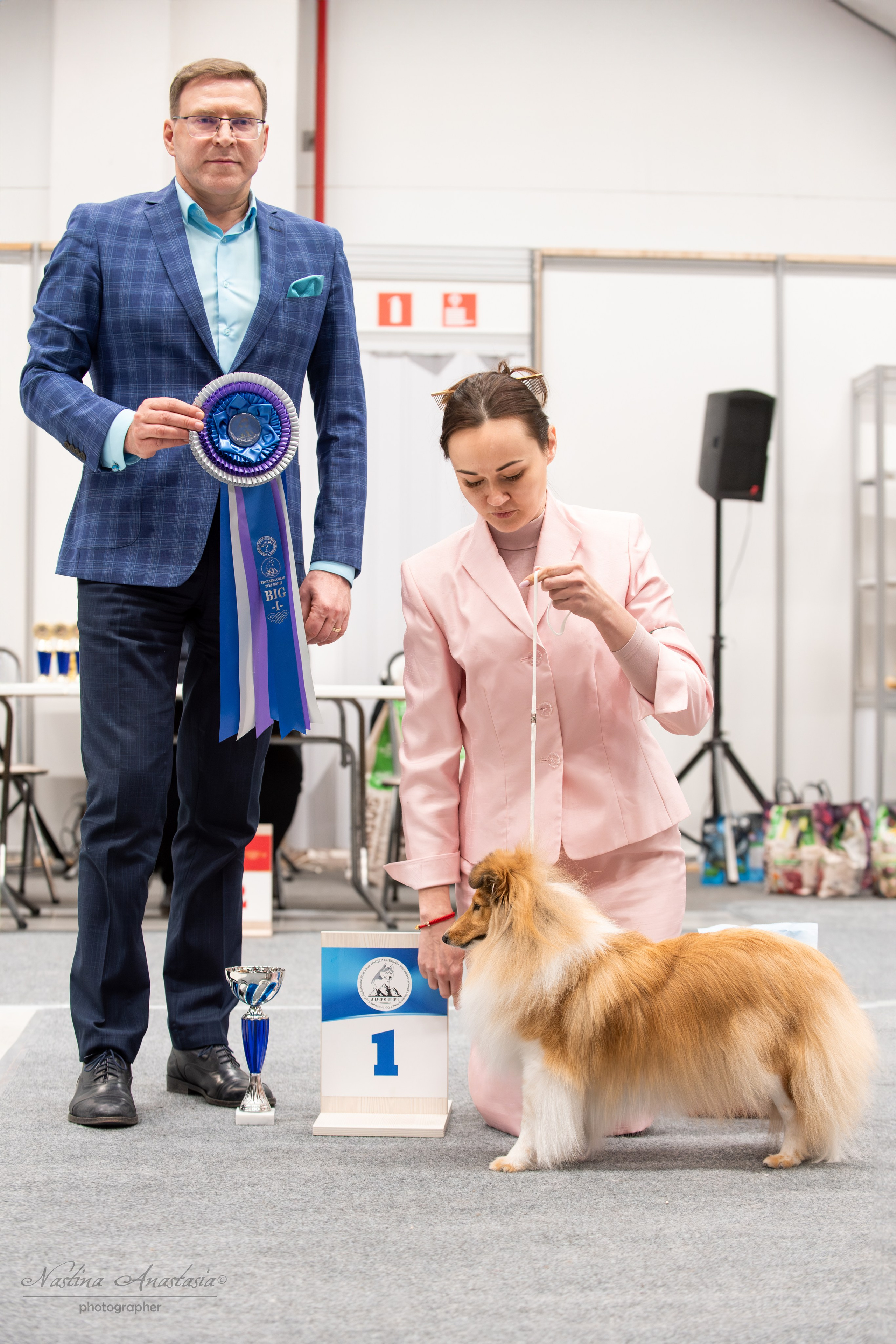 Выставки. Фотограф — Анималист