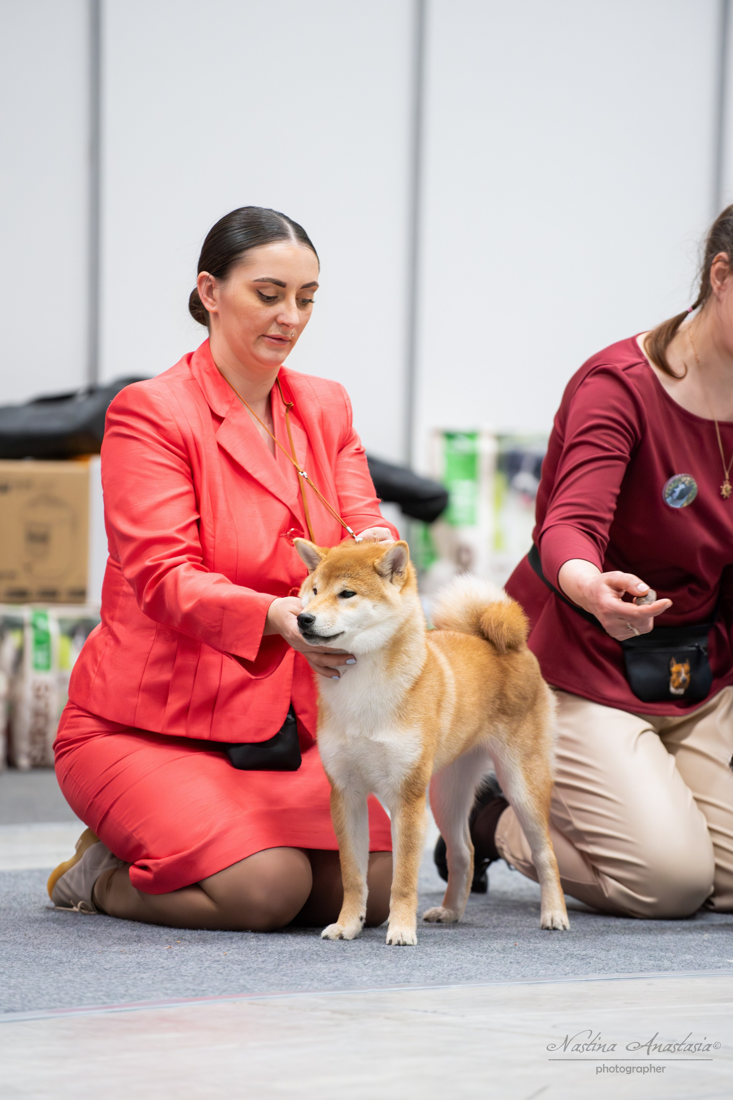 Выставки. Фотограф — Анималист