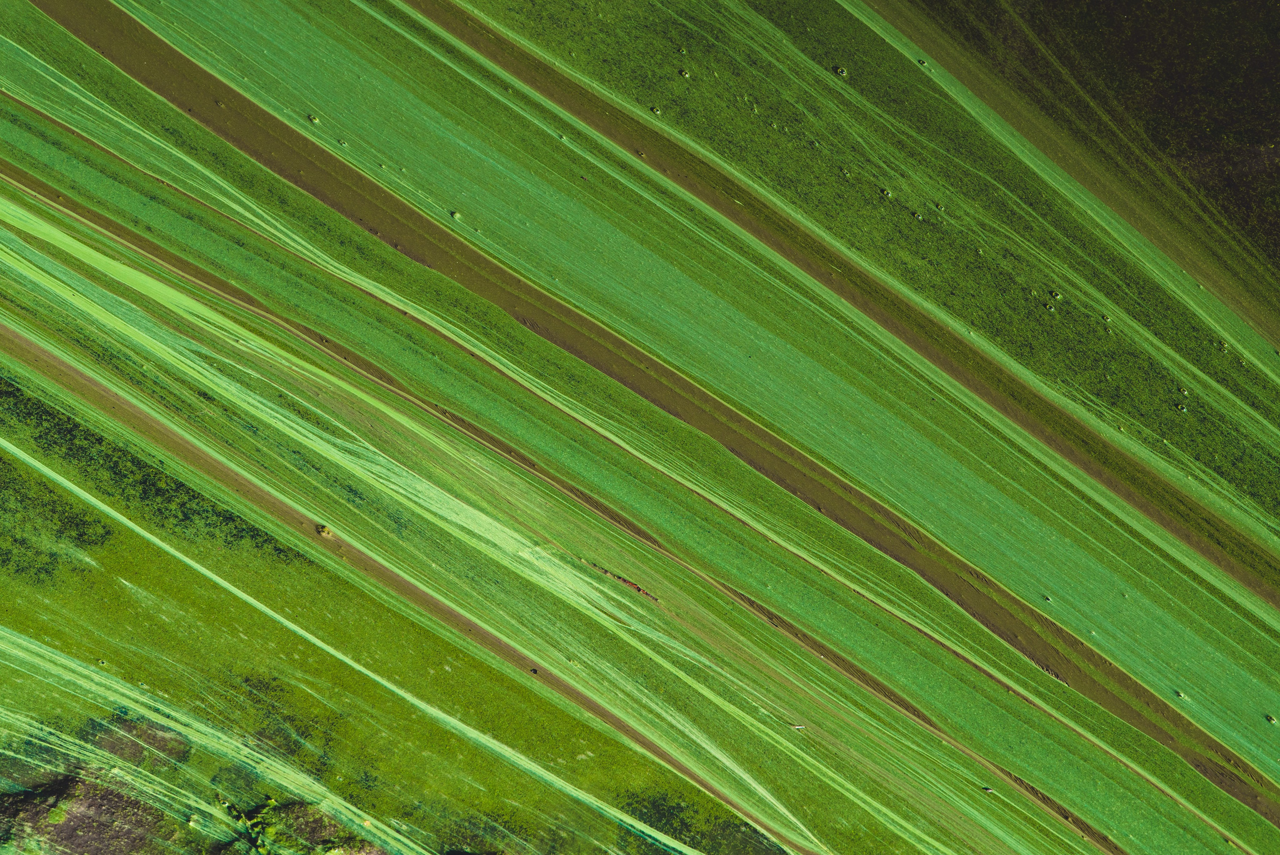 Абстрактный крупный план ярких зеленых плавных узоров с многослойными полосами и естественными текстурами. Богатая органическая зелень и тонкие вариации тонов создают визуально поразительный эффект, идеально подходящий для вдохновленного природой искусства, современного домашнего декора и художественных принтов. Идеально подходит для добавления успокаивающего, но динамичного элемента в любое пространство.