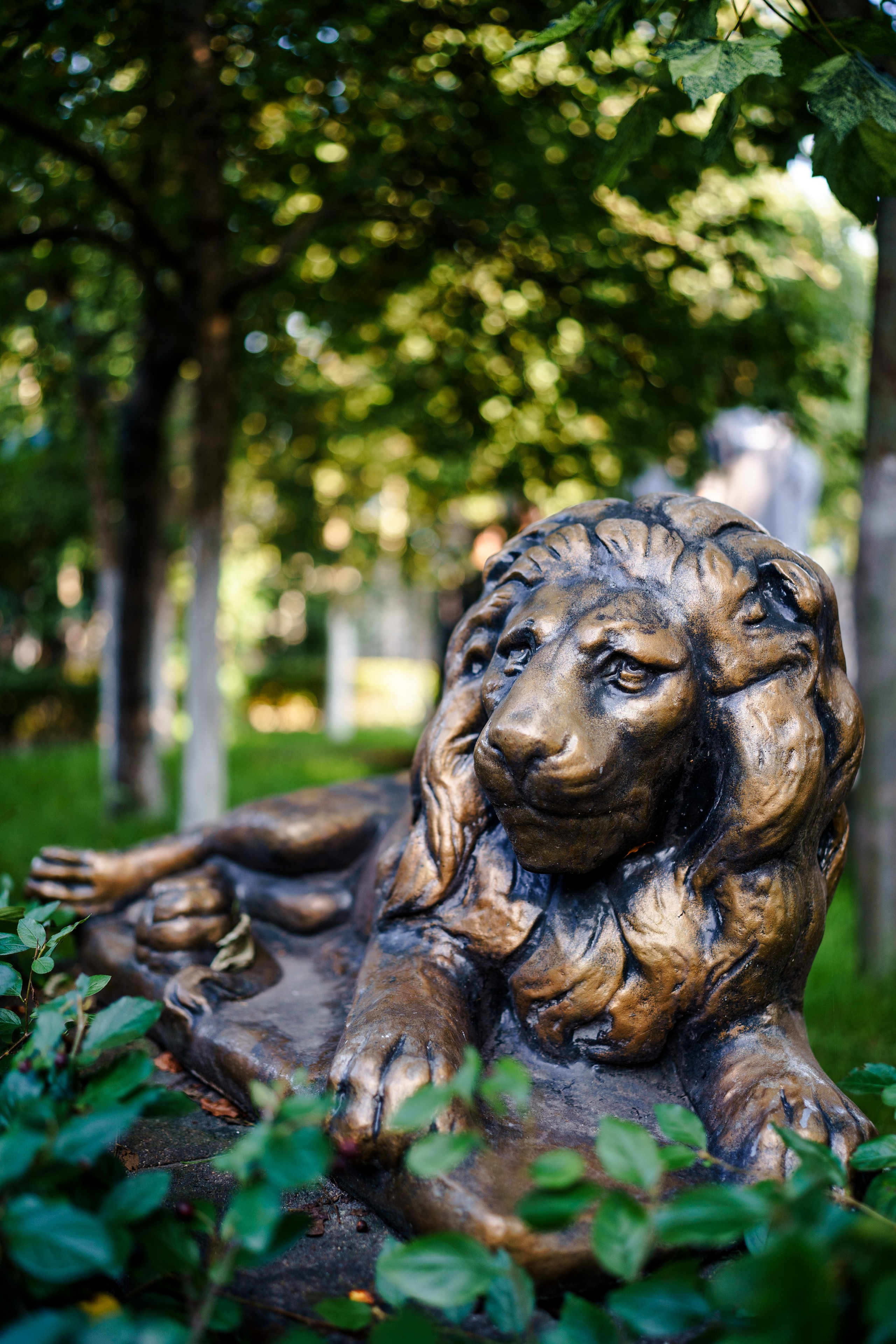 Randewoo тимбилдинг. Репортажный фотограф Москва Сергей Дружинин