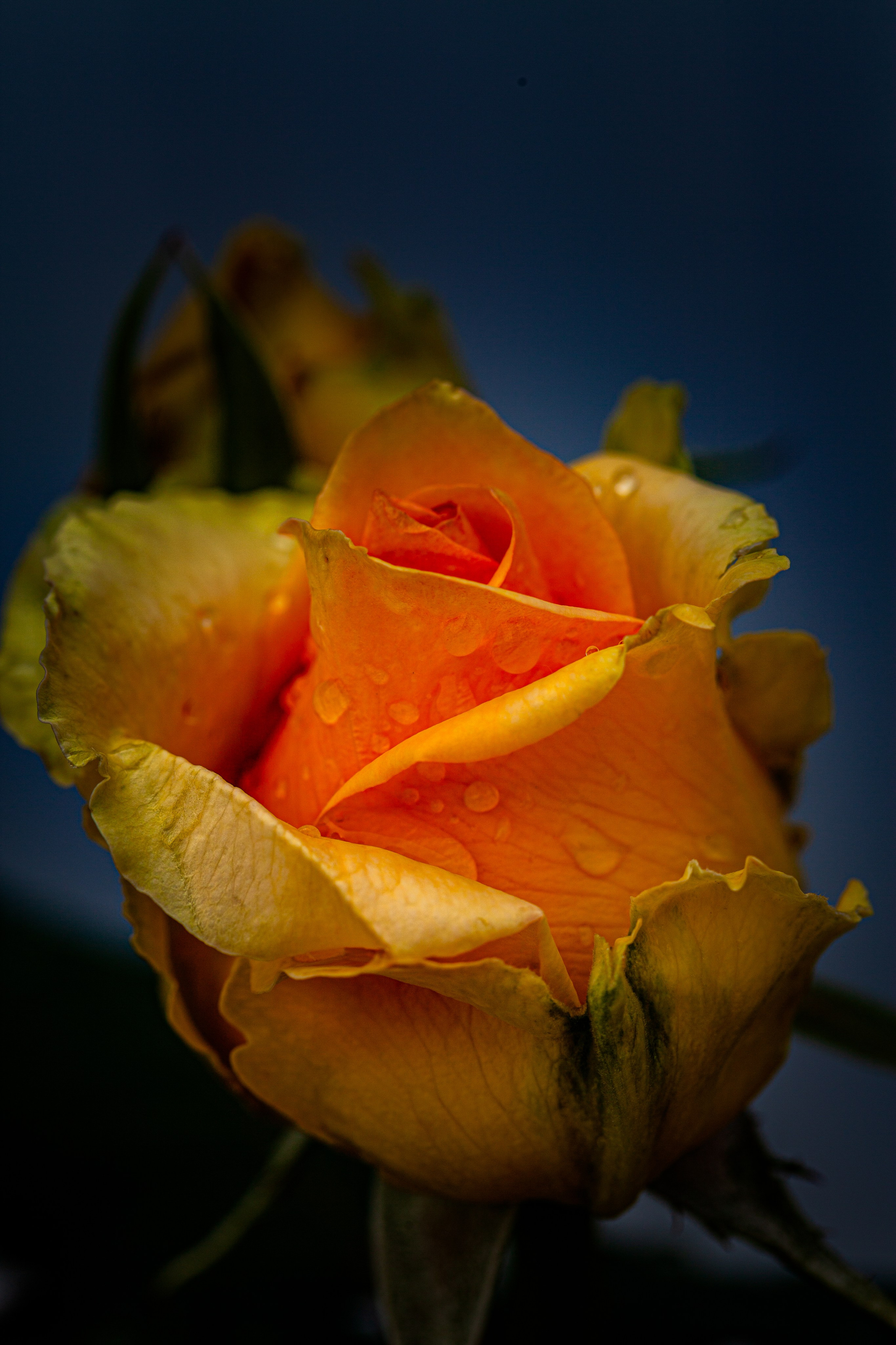 Медиапродюсер, фотограф в Минеральных Водах —Виктор Холодов