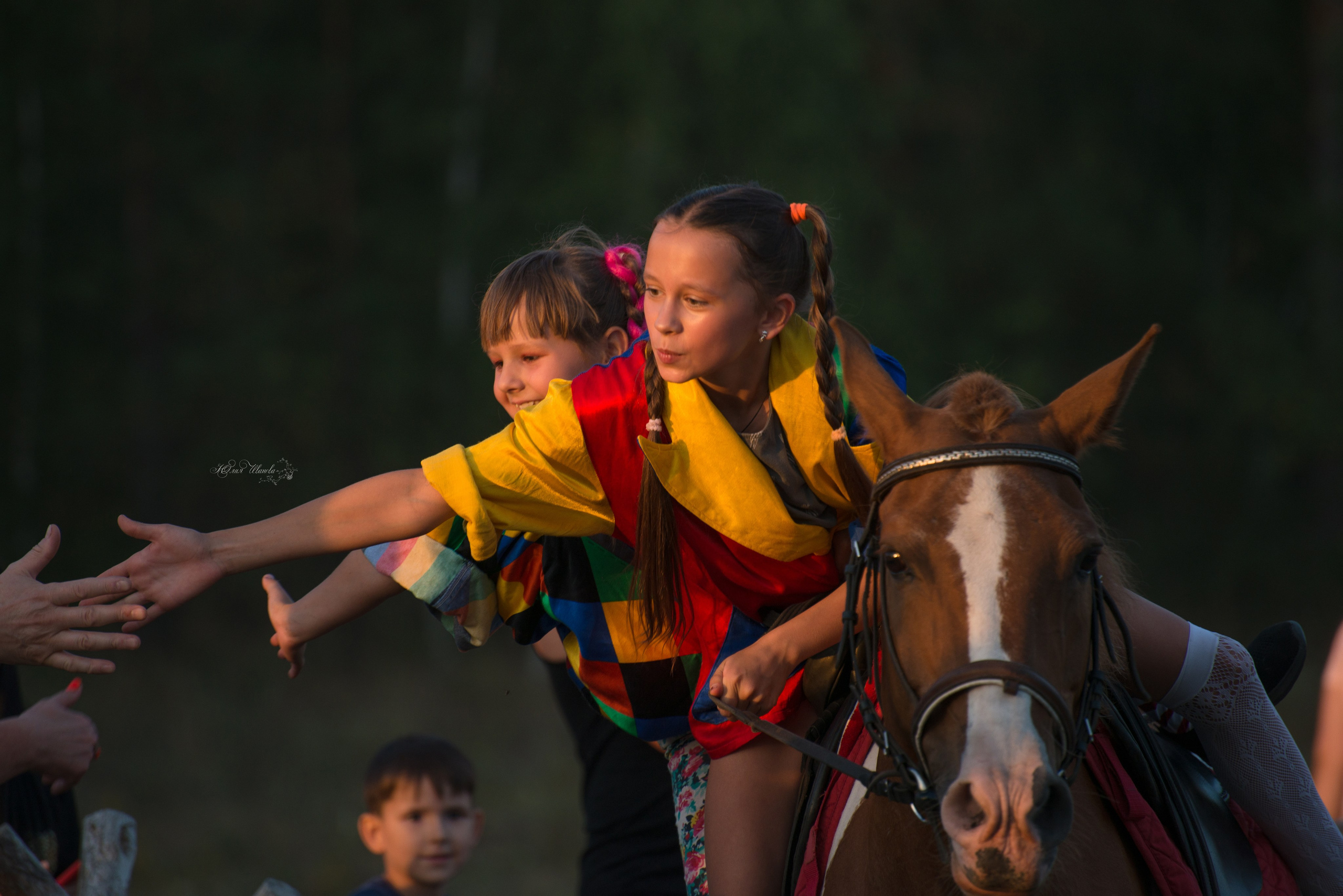 Дети и лошади. Конный фотограф в Саратове Юлия Иванова