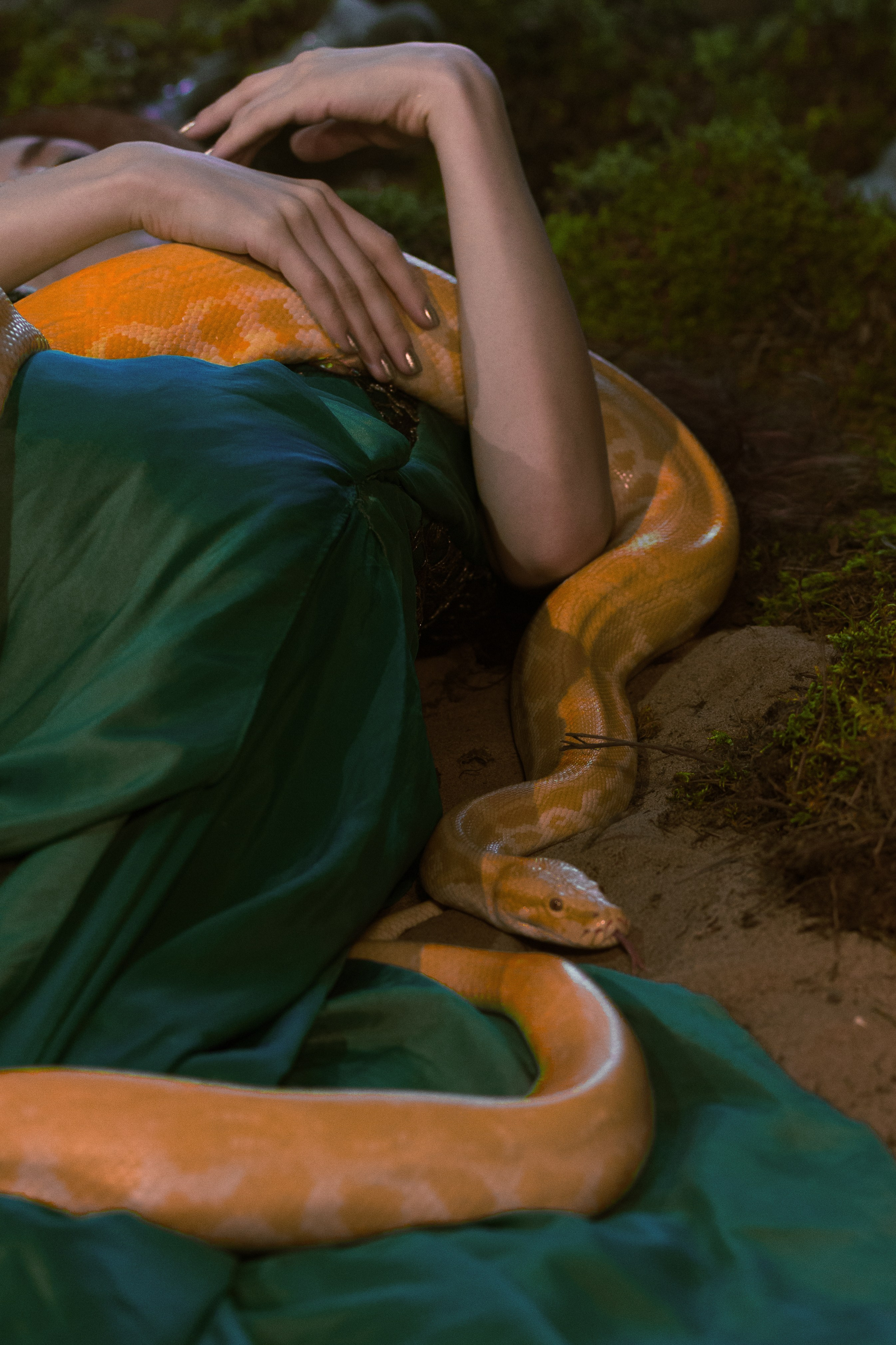 Спящая красавица