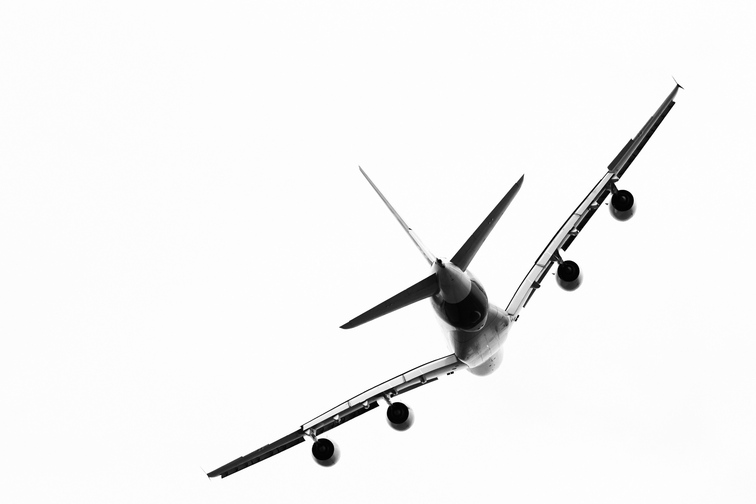 Фотограф Алексей Седойкин