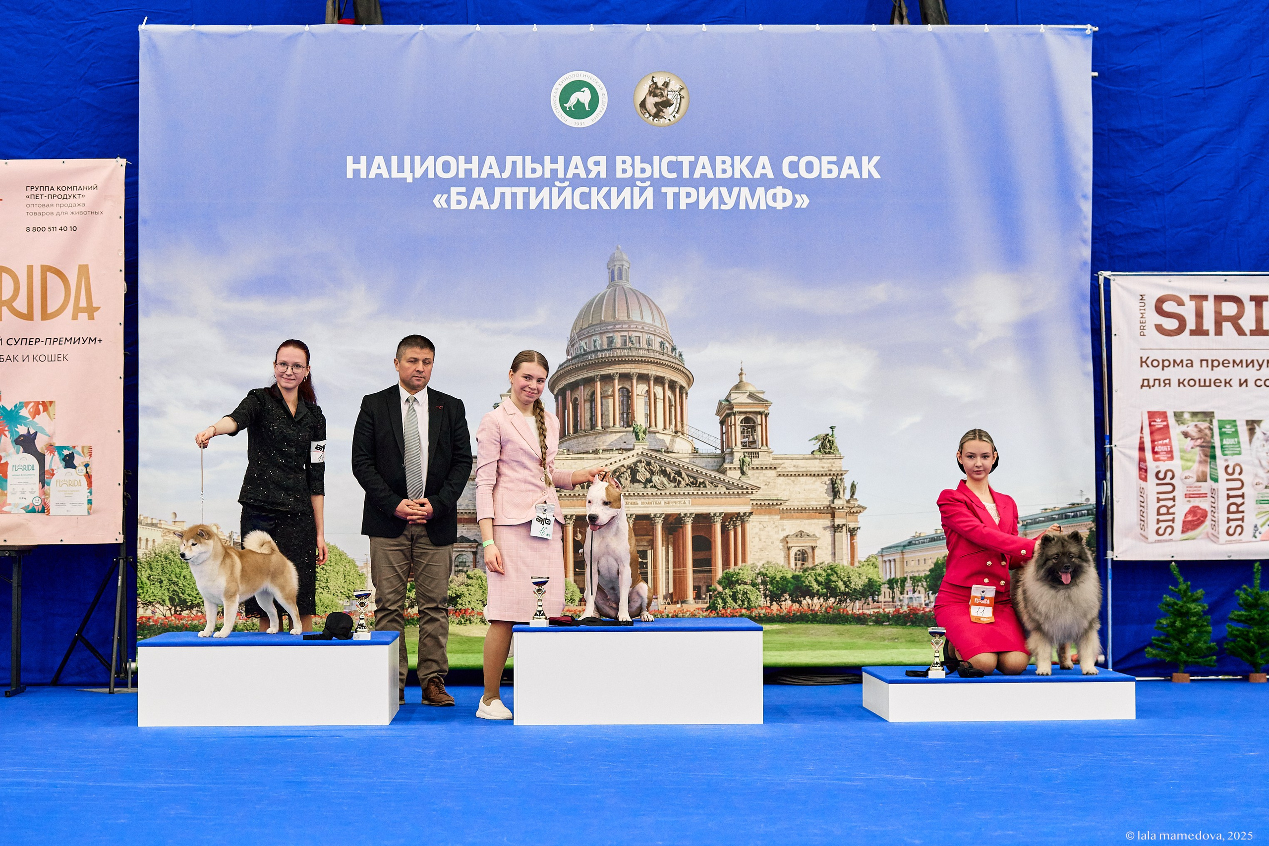 22-23 FEB 2025 | NATIONAL DOG SHOW «BALTIC TRIUMPH-2025»